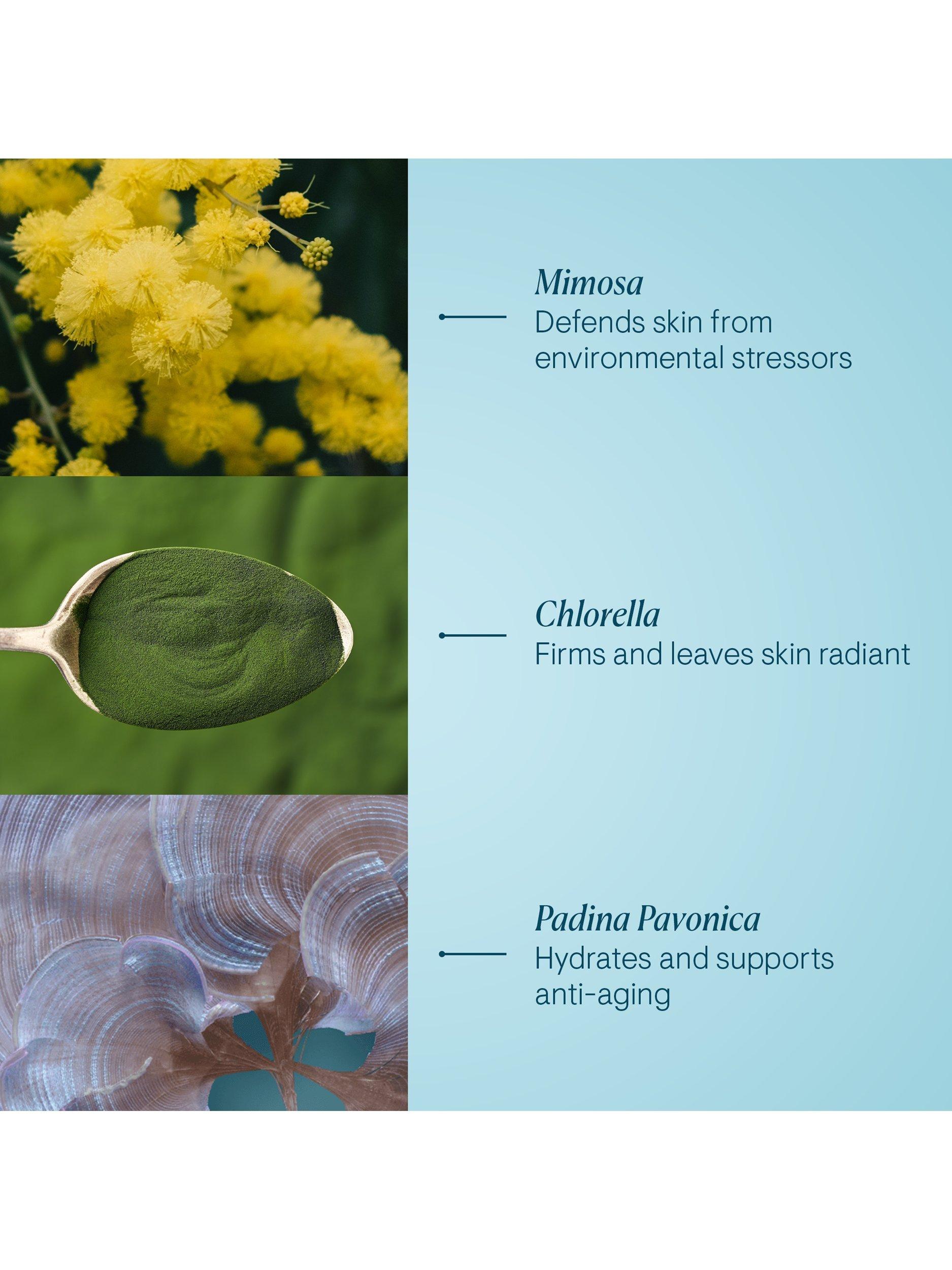 Pro-Collagen Marine Cream
