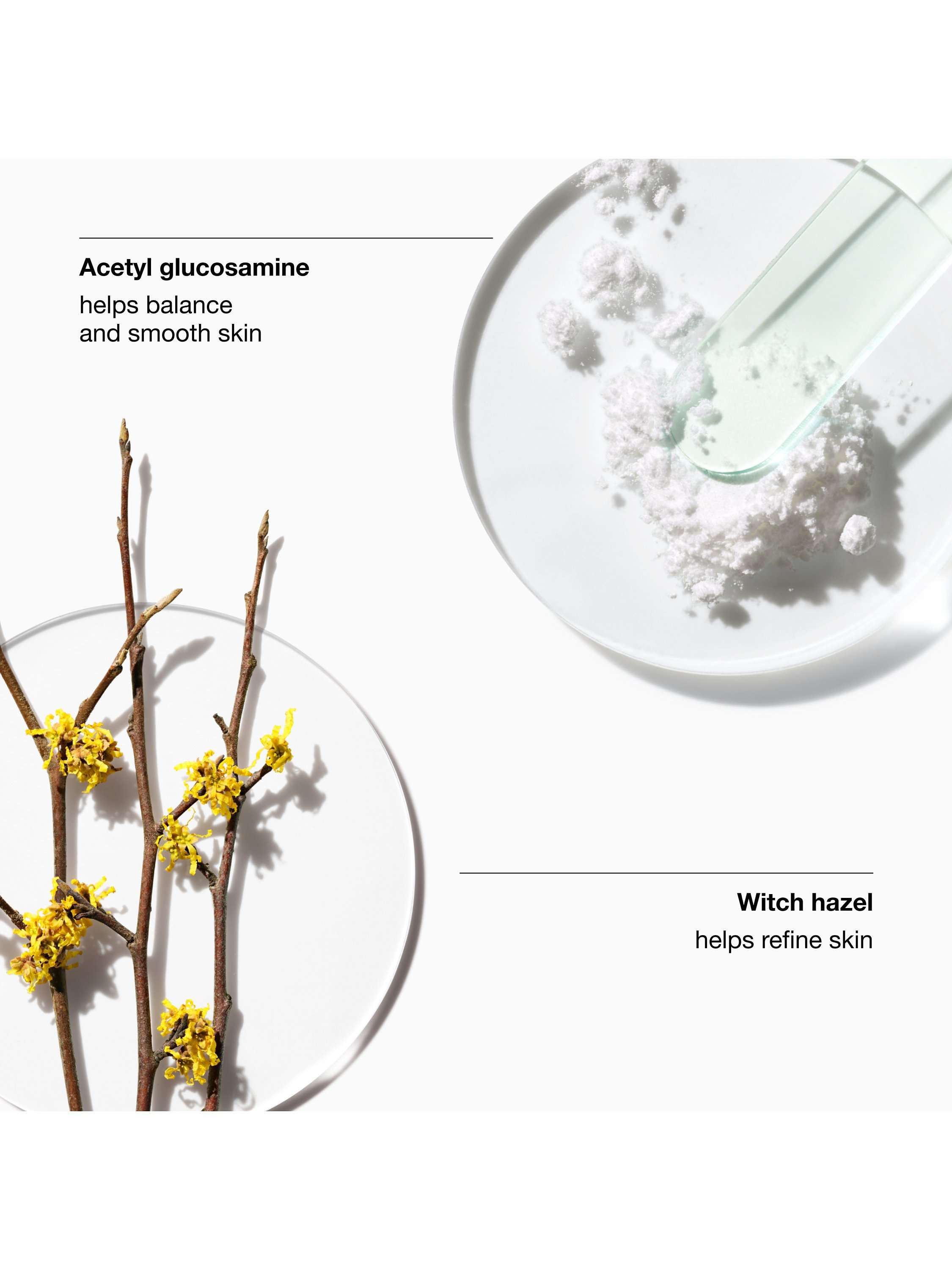 Clarifying Lotion 2
