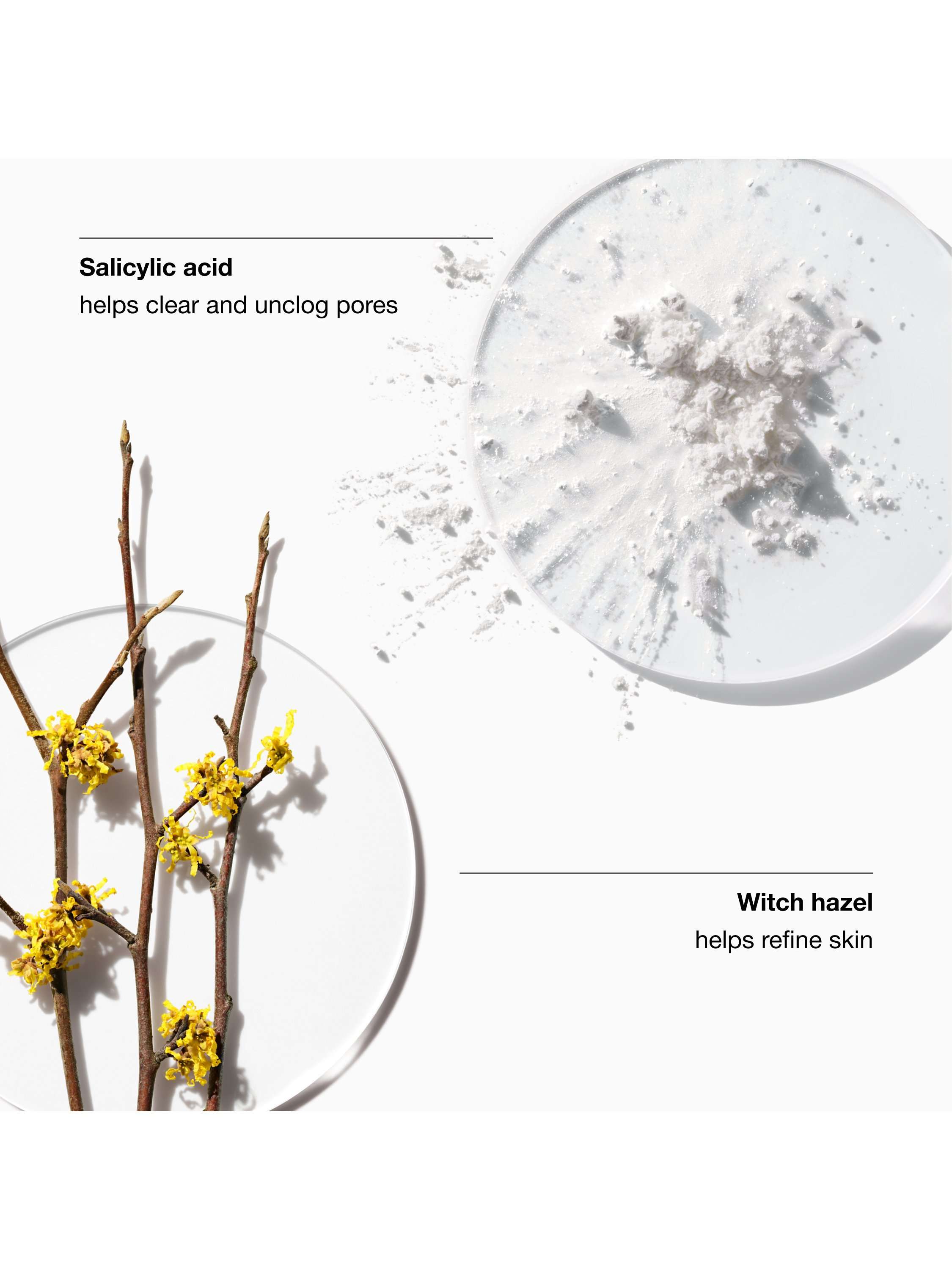 Clarifying Lotion 4