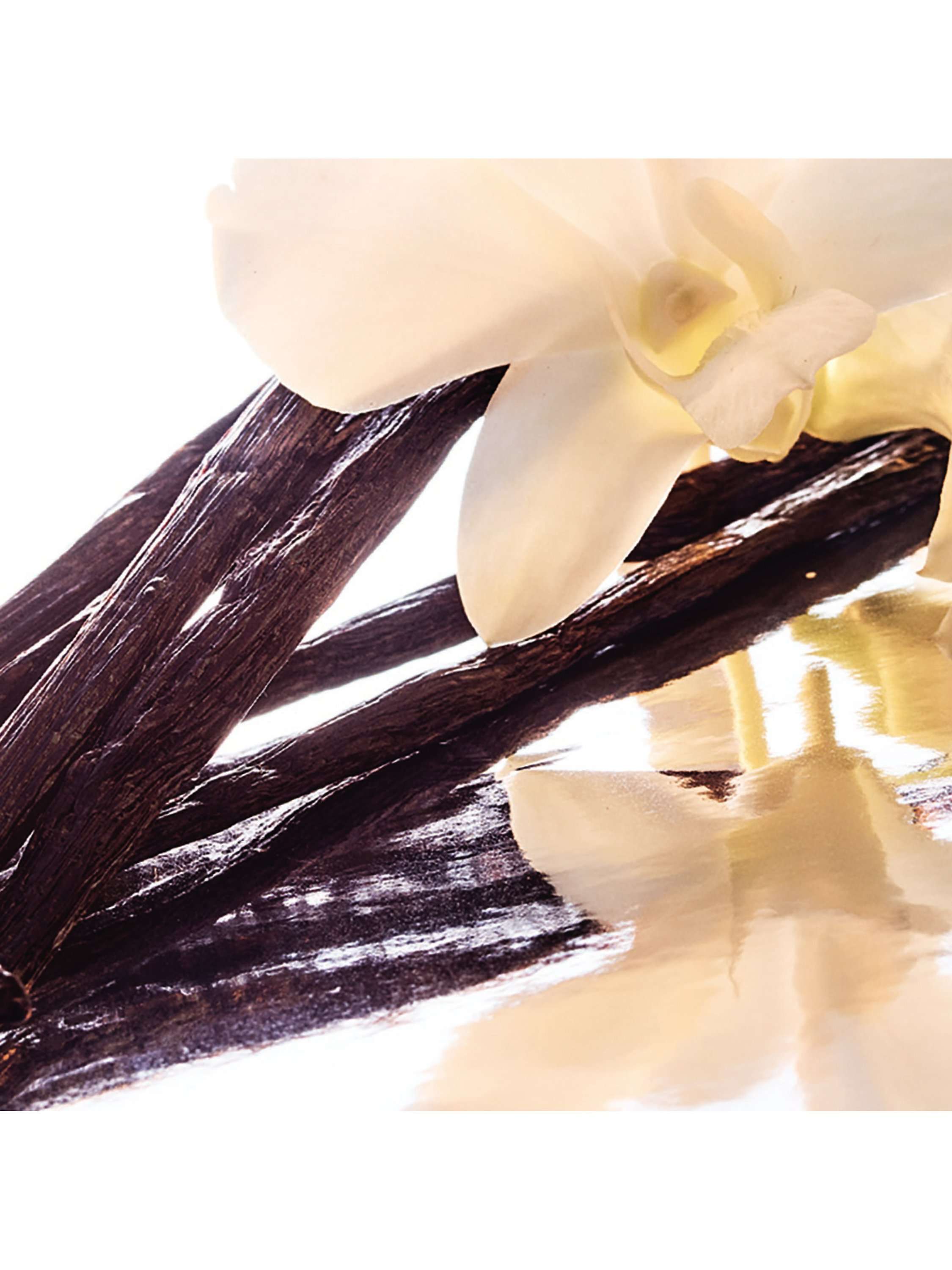 Shalimar Eau de Toilette