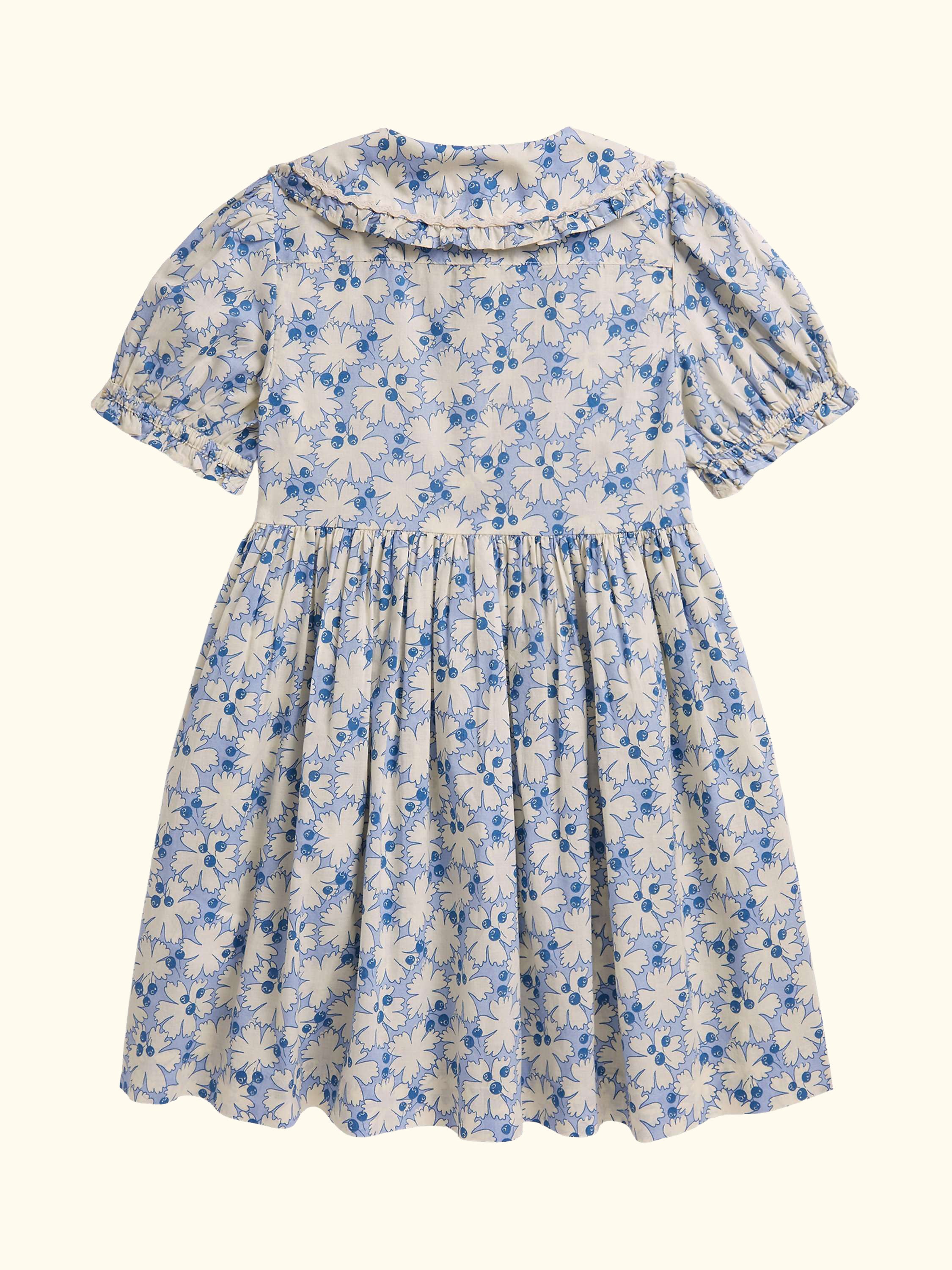 Polo Ralph Lauren Kids' Cotton Woven Blueberry Floral Shirt Dress, Multi