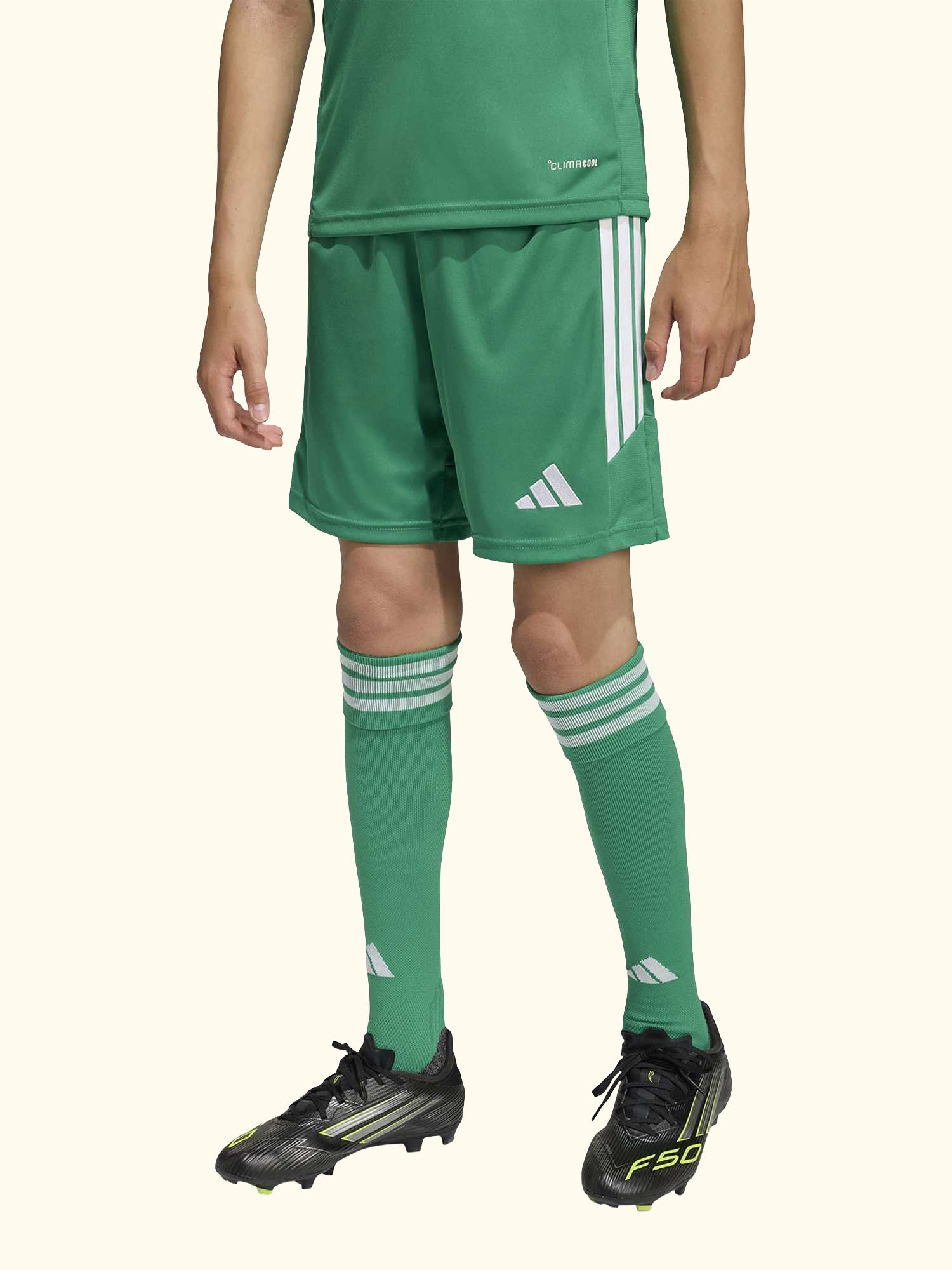 Kids' Tiro26 League Football Shorts, Team Green/White