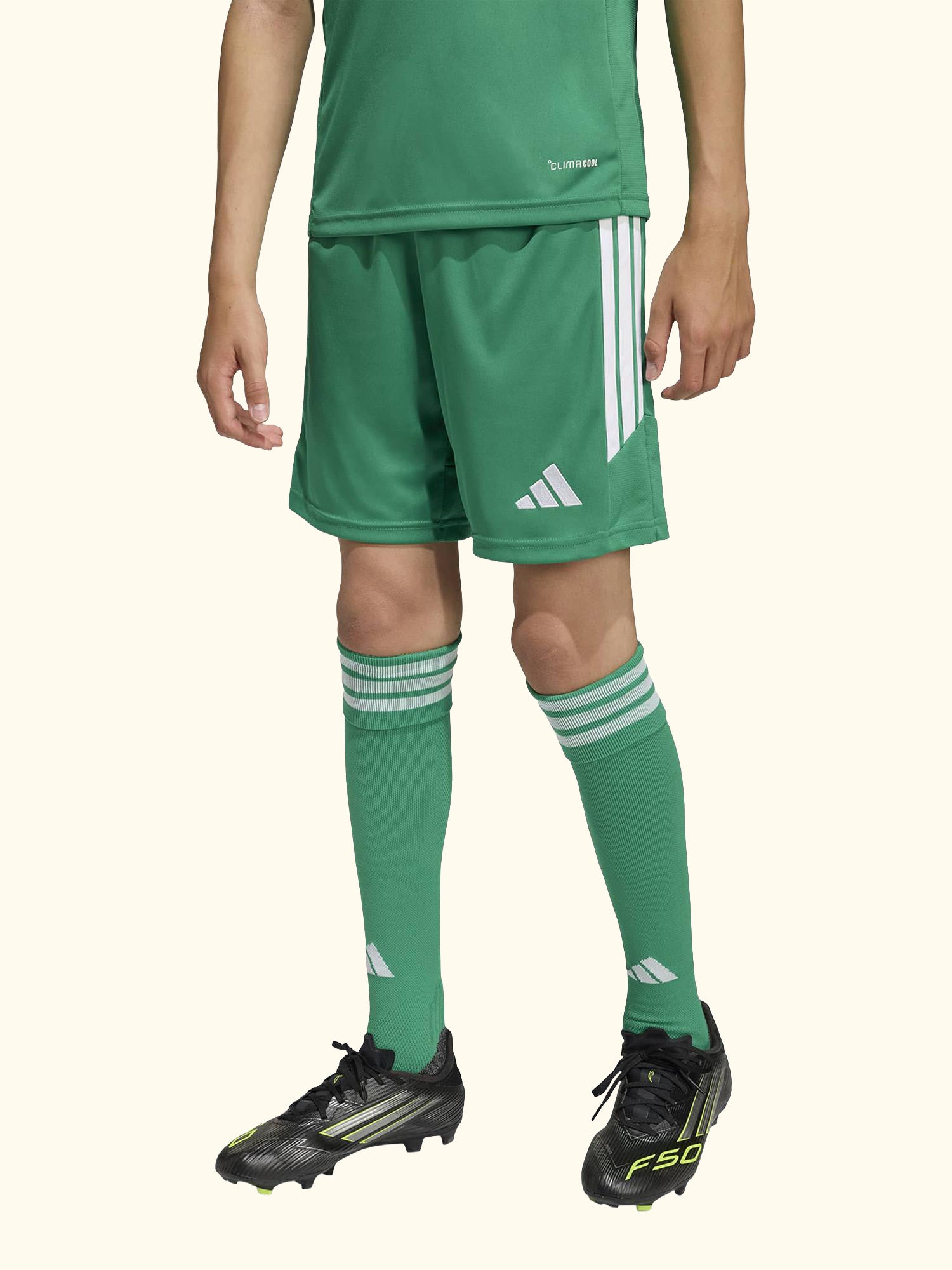 Kids' Tiro26 League Football Shorts, Team Green/White