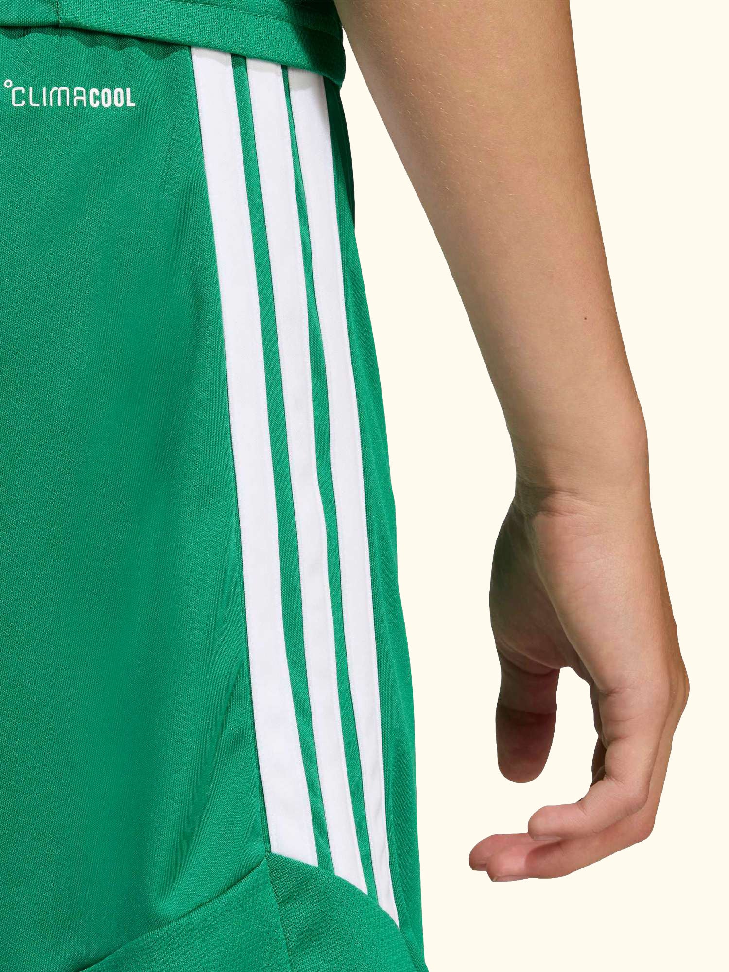 Kids' Tiro26 League Football Shorts, Team Green/White