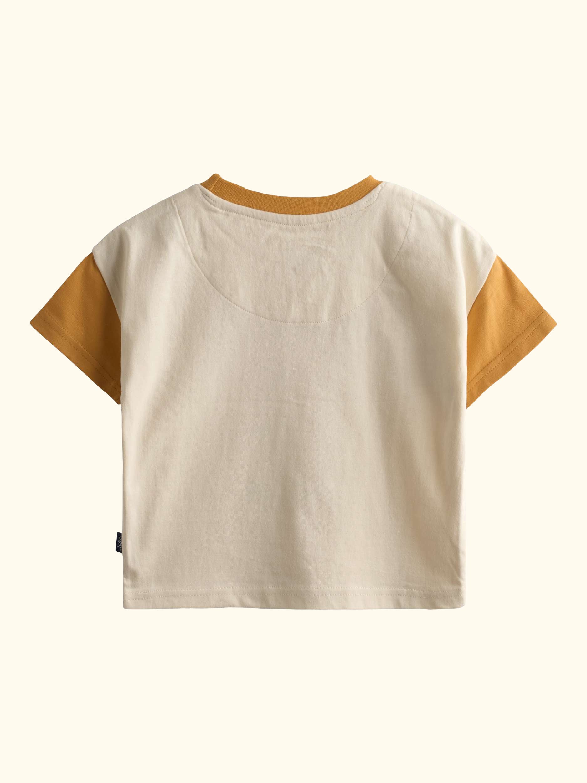 Kids' Roarsome Lion Appliqué T-Shirt, Pack of 2, Mid Orange