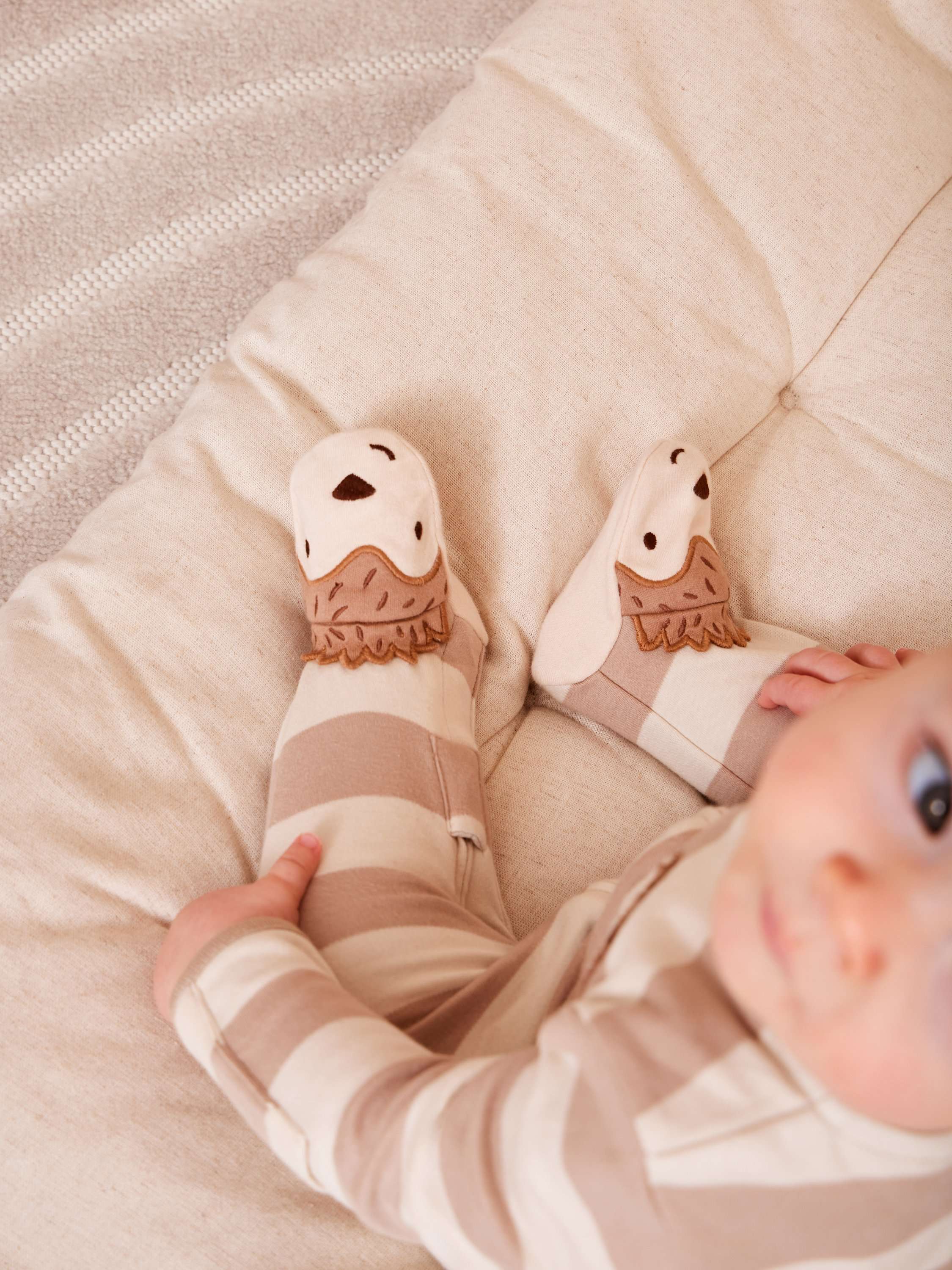 Baby Hedgehog Stripe Footed Sleepsuit, Brown