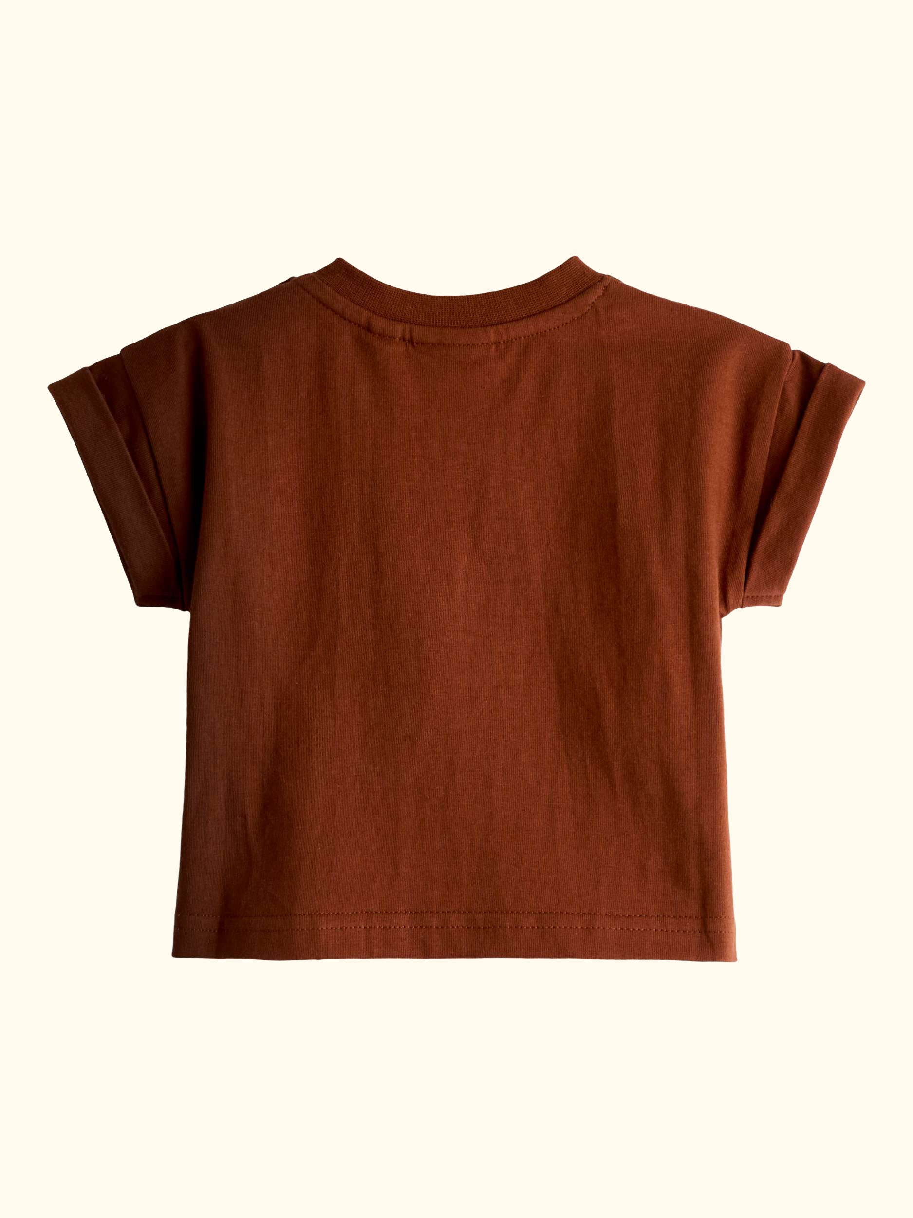 Baby Stripe Appliqué Dunagree and T-Shirt Set, Rust Orange