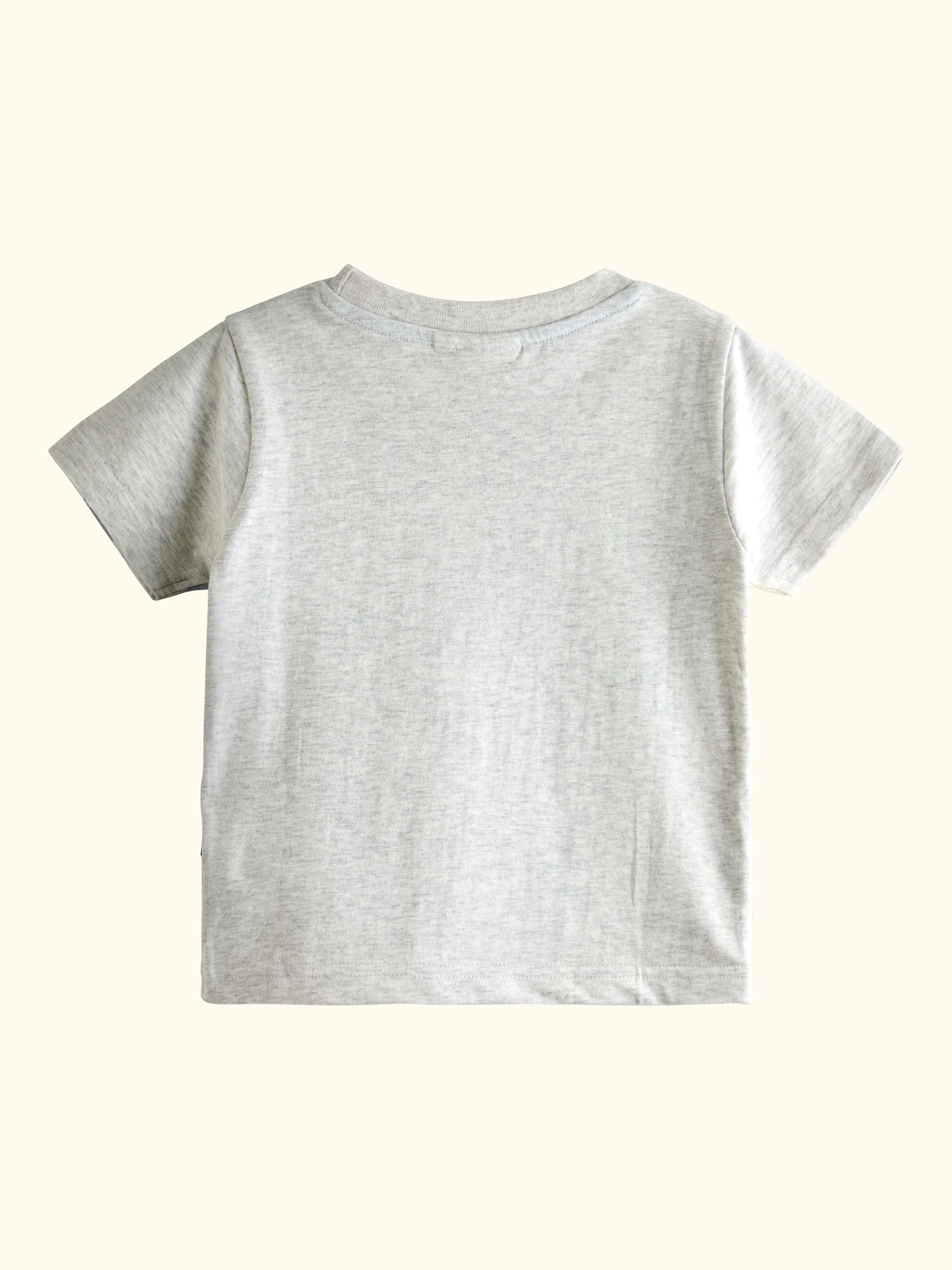 Kids' Surfing Dino Scene Applique T-Shirt, Light Grey Marl