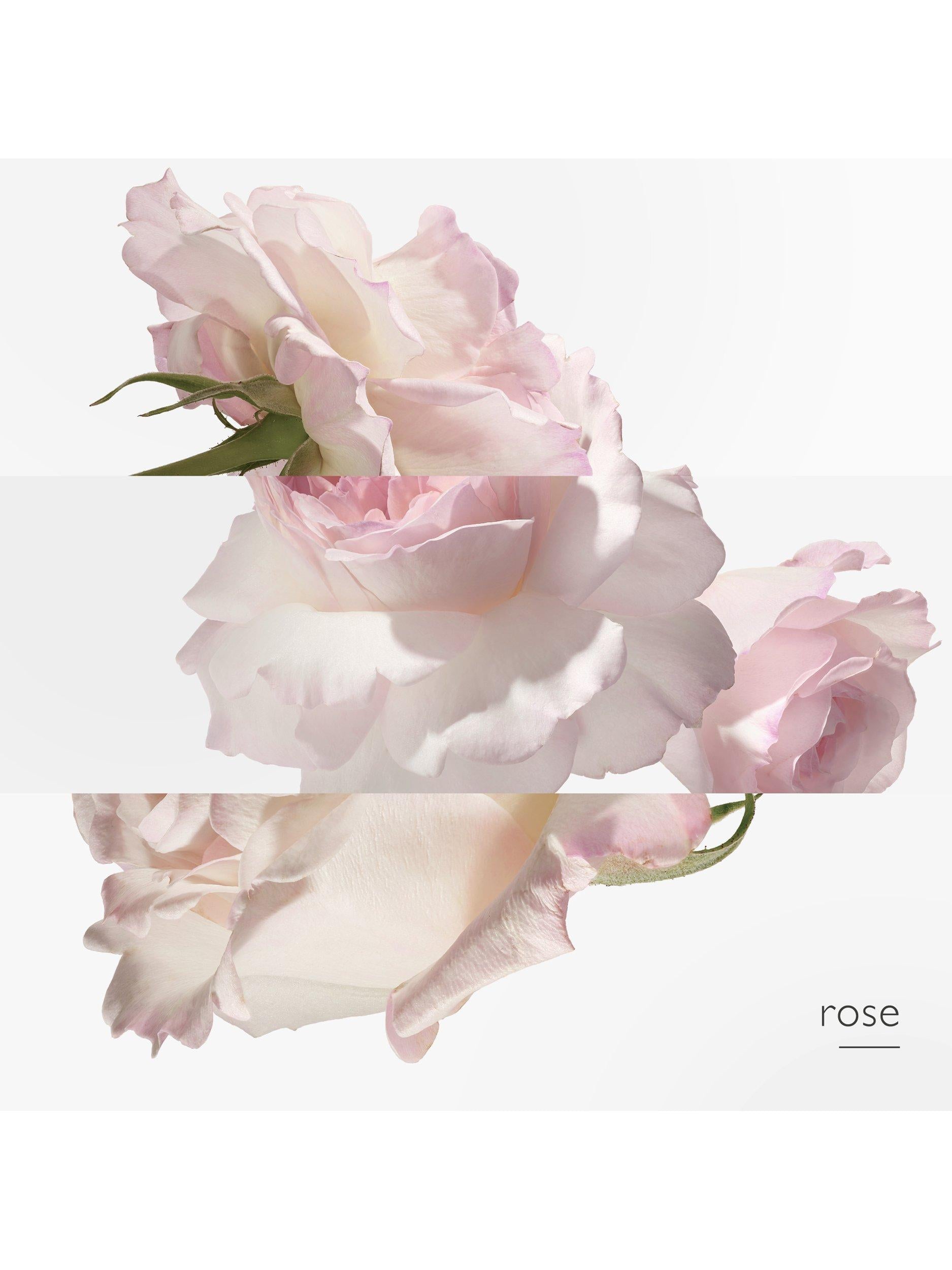 Concentré de Pamplemousse Rose Eau de Toilette, 100ml