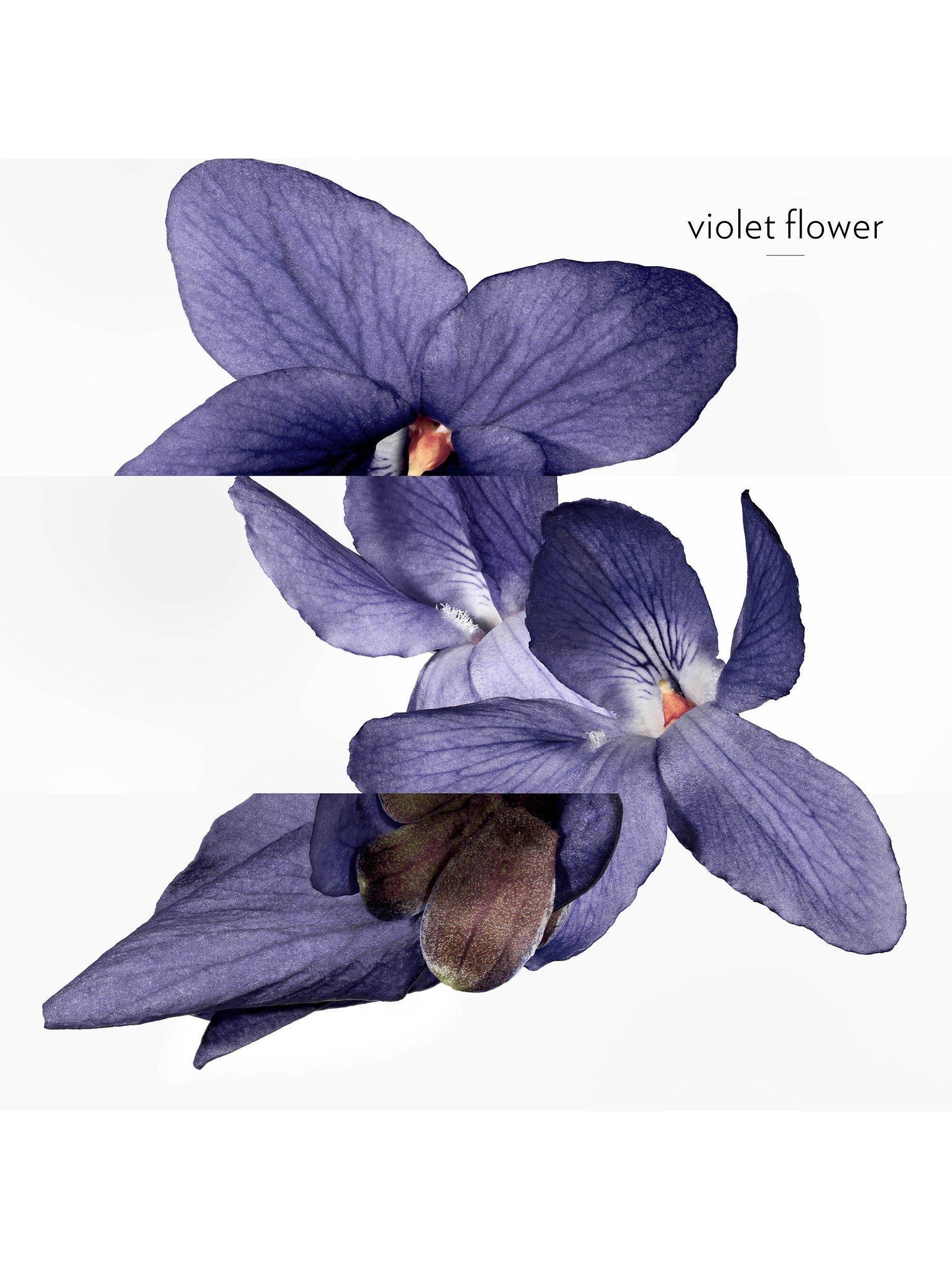 Hermessence Violette Volynka Eau de Toilette