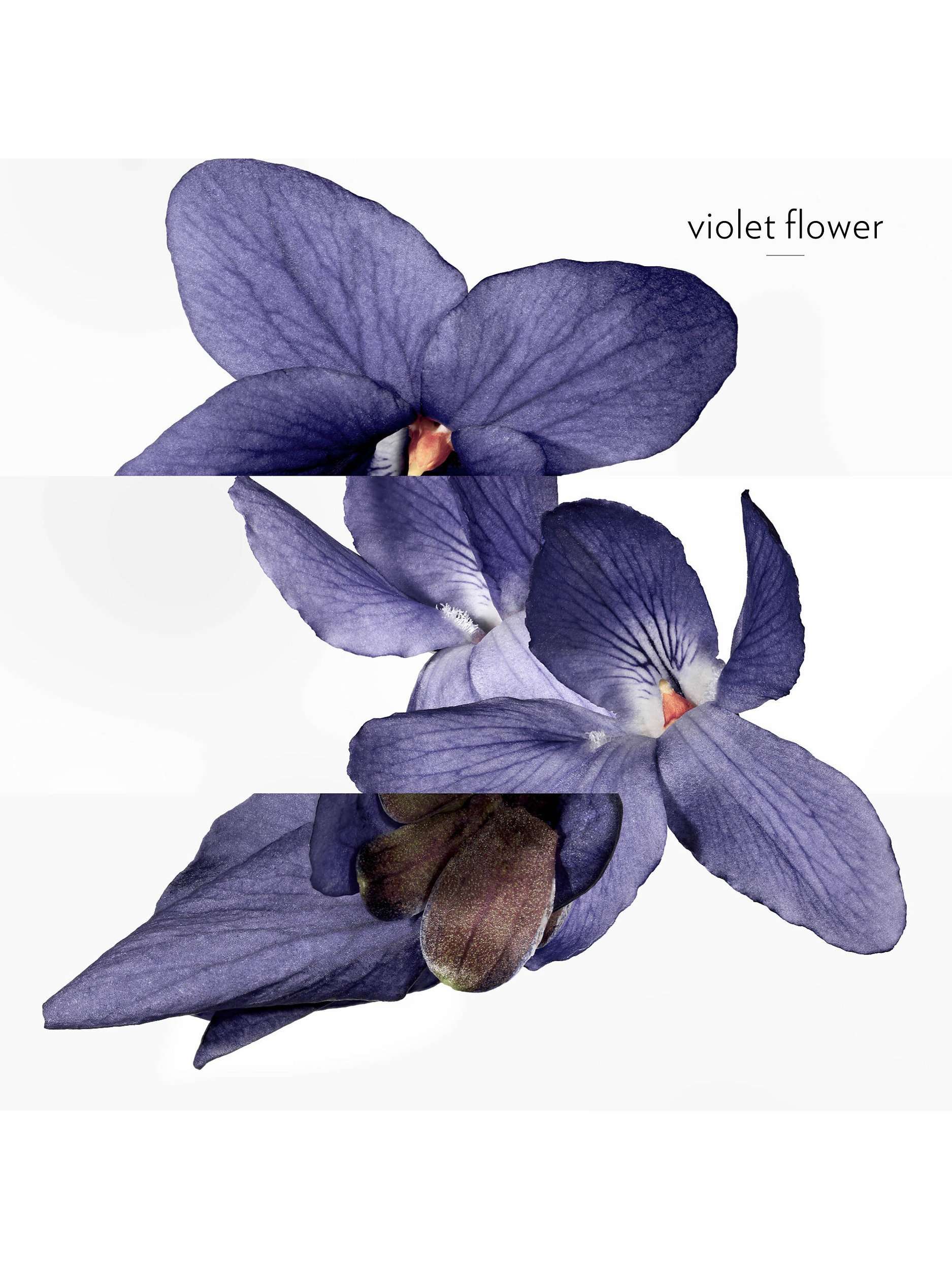 Hermessence Violette Volynka Eau de Toilette