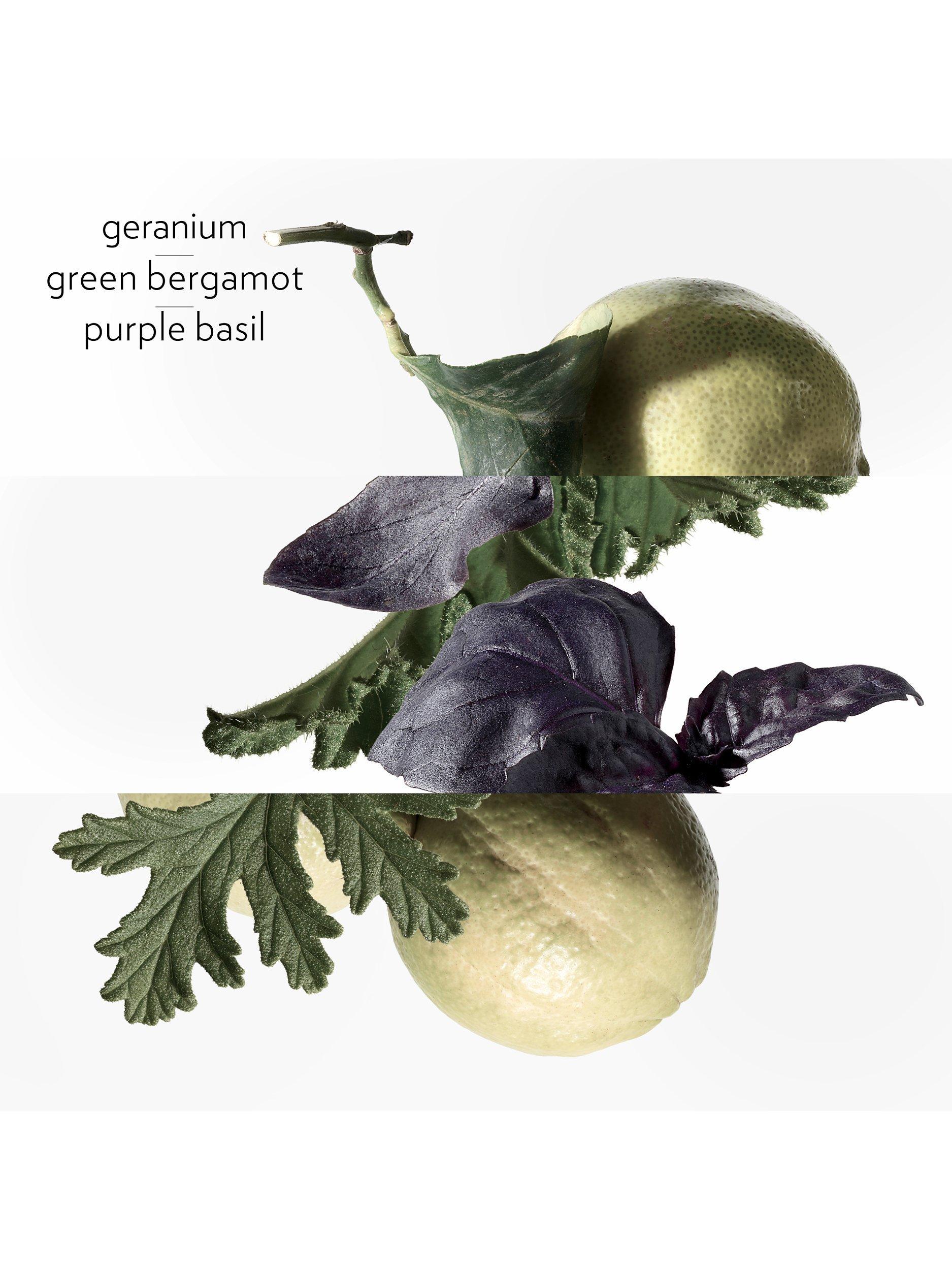 Eau de Basilic Pourpre Eau de Cologne