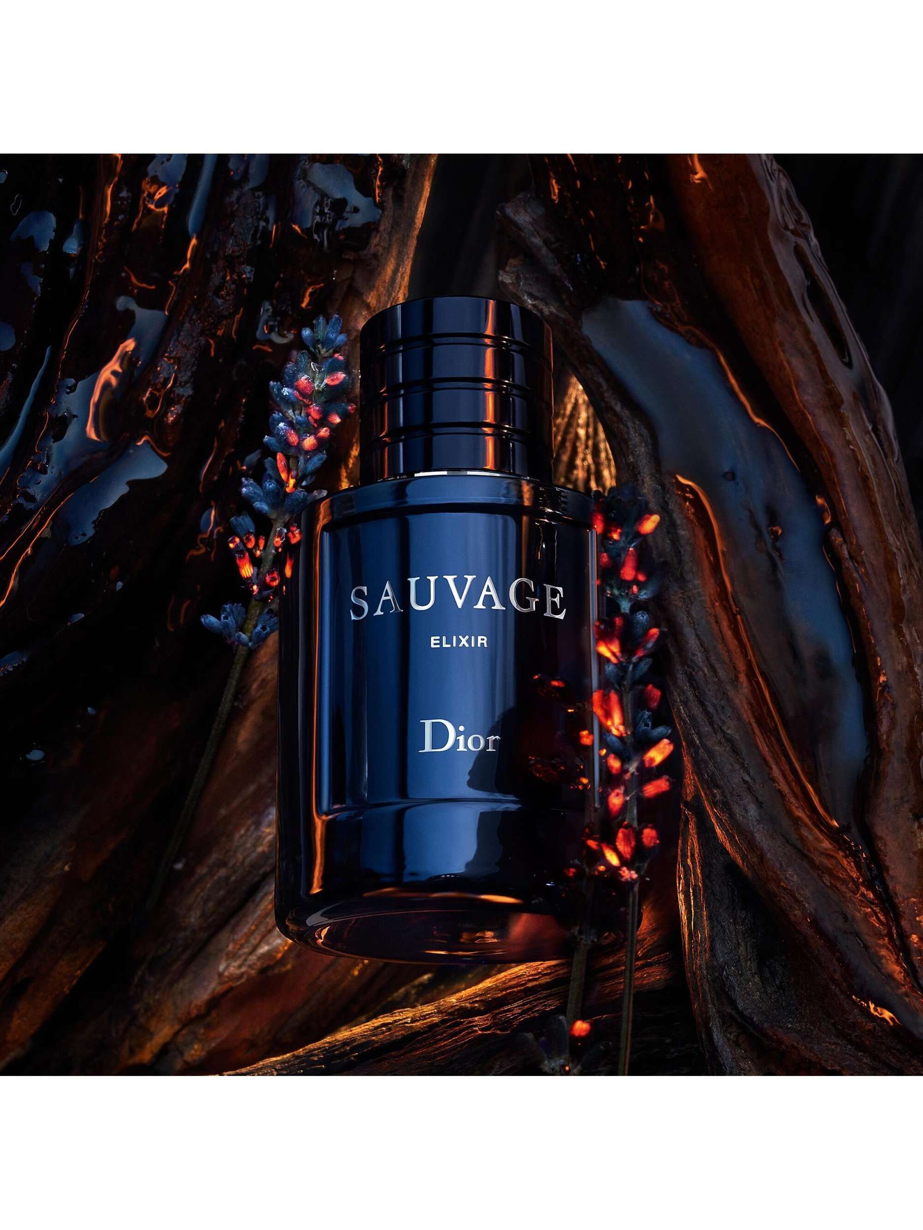 Sauvage Elixir