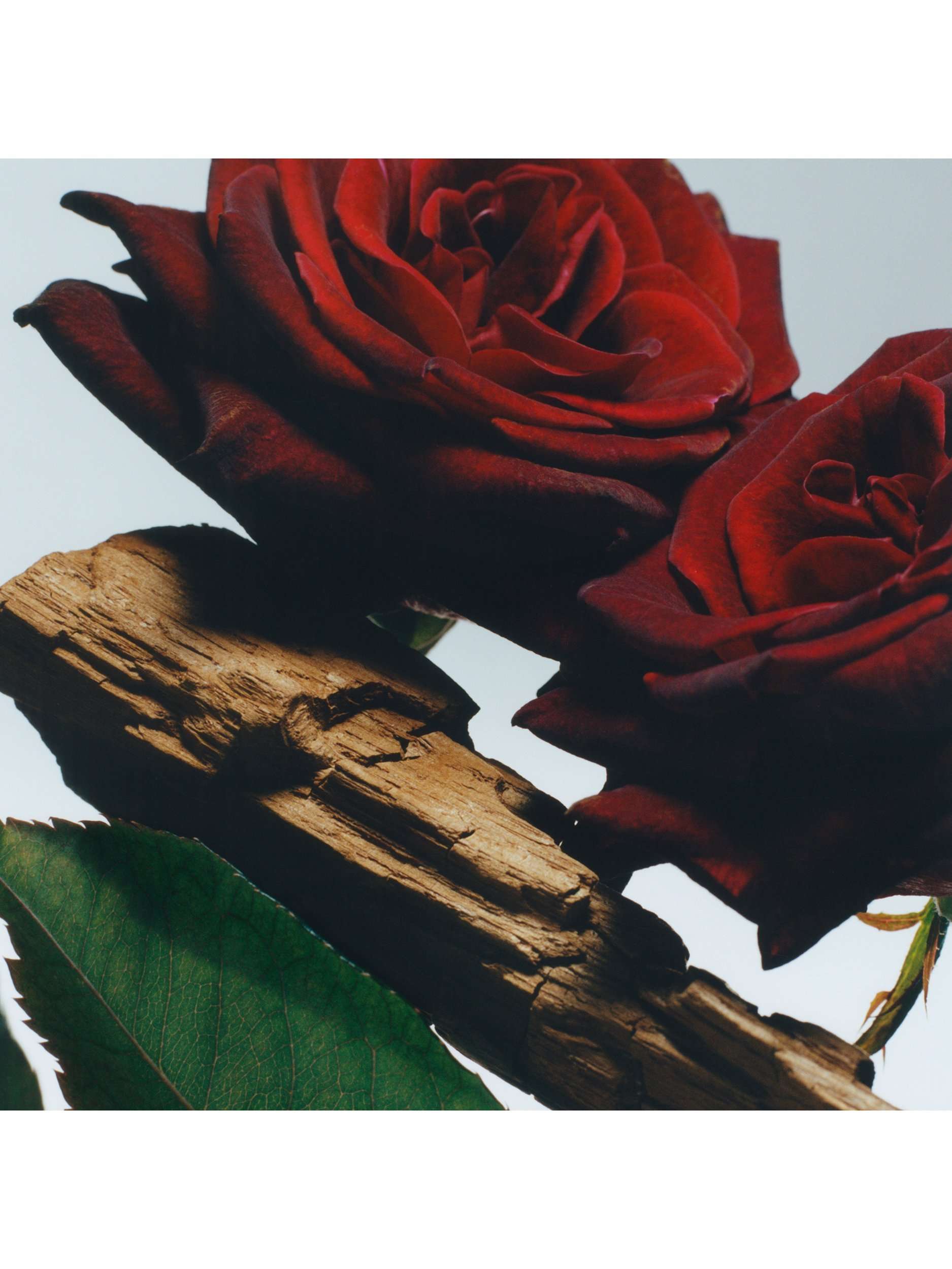 Velvet Rose & Oud Body Crème