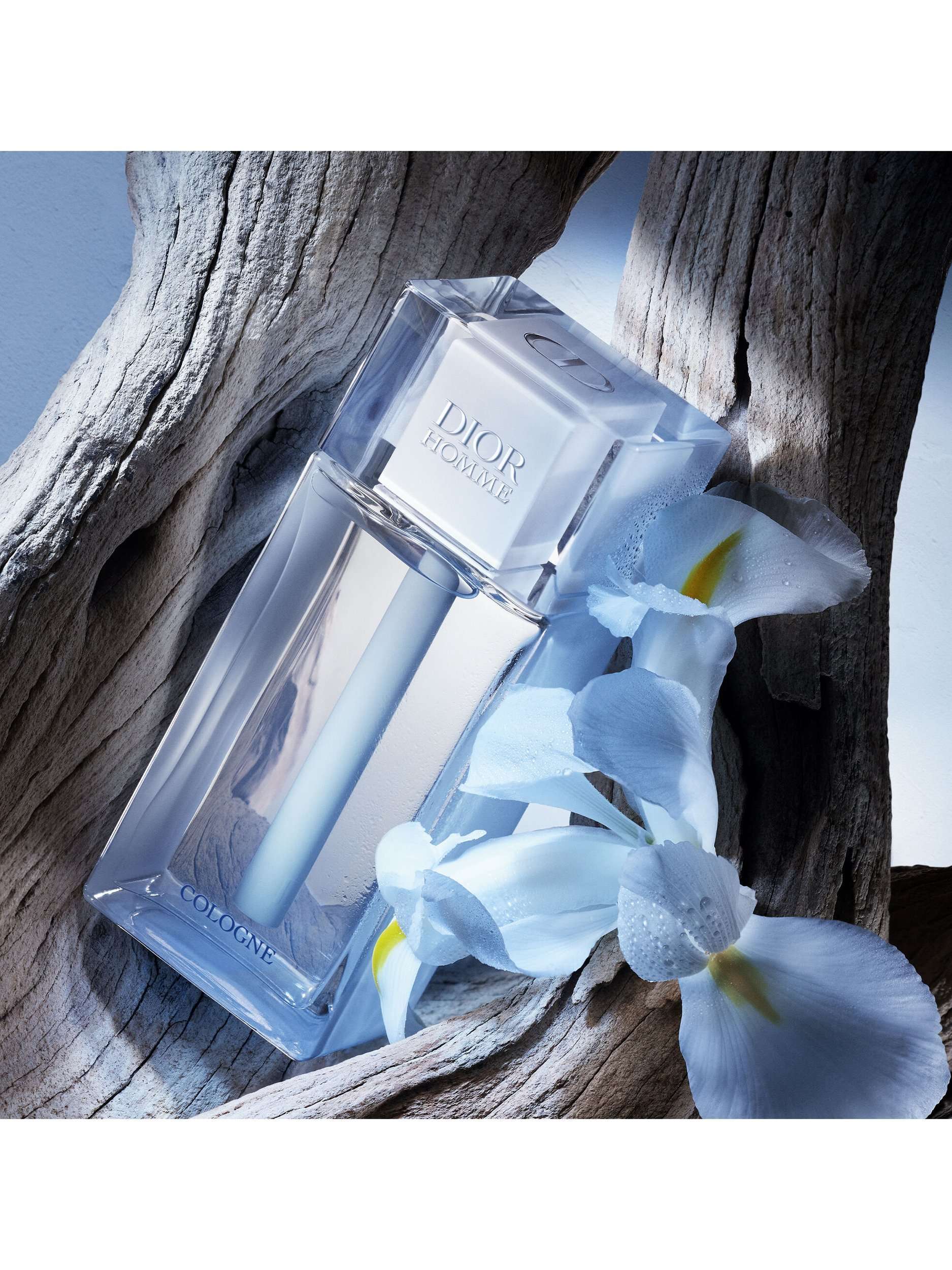 Homme Cologne