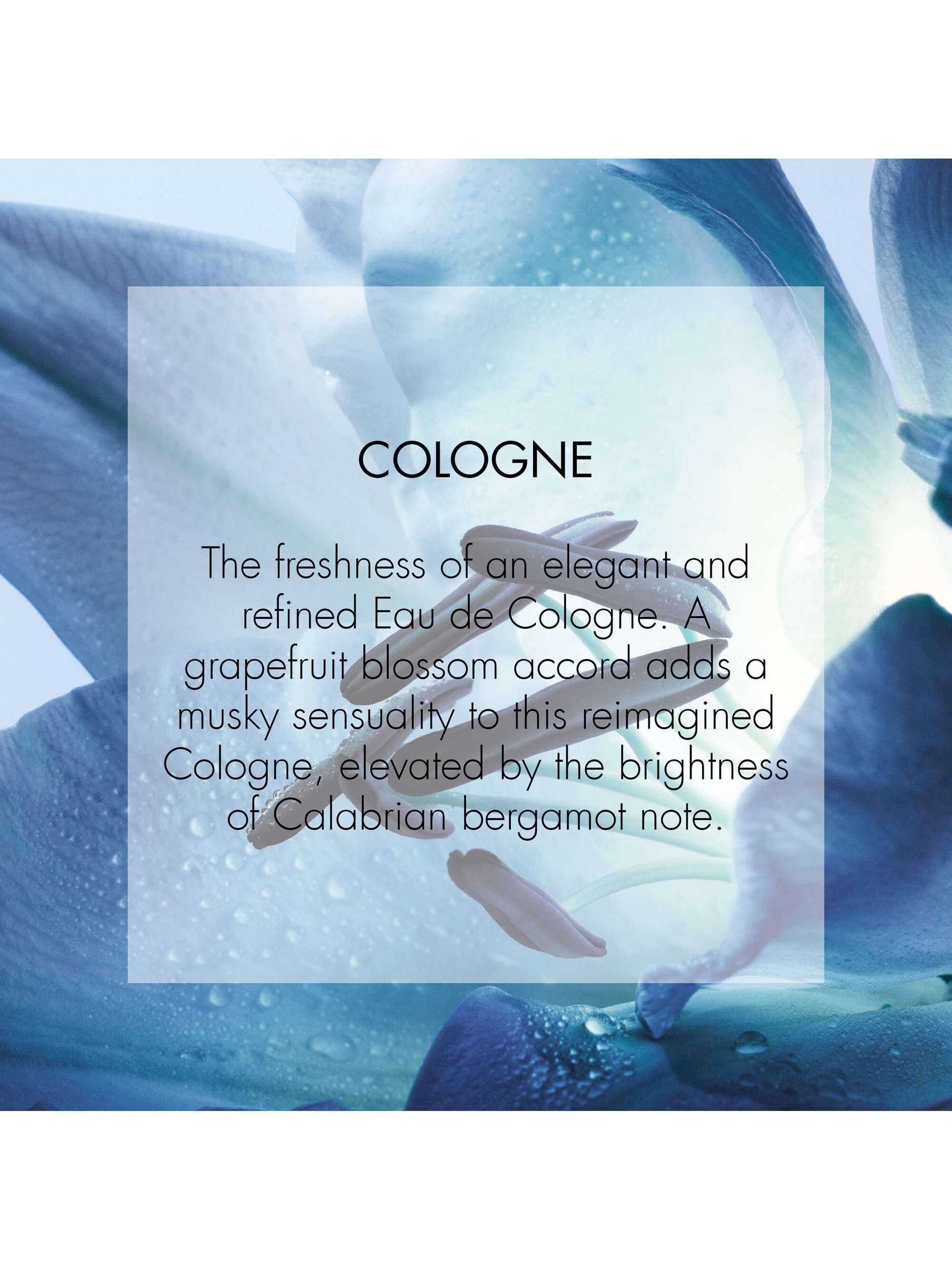 Homme Cologne