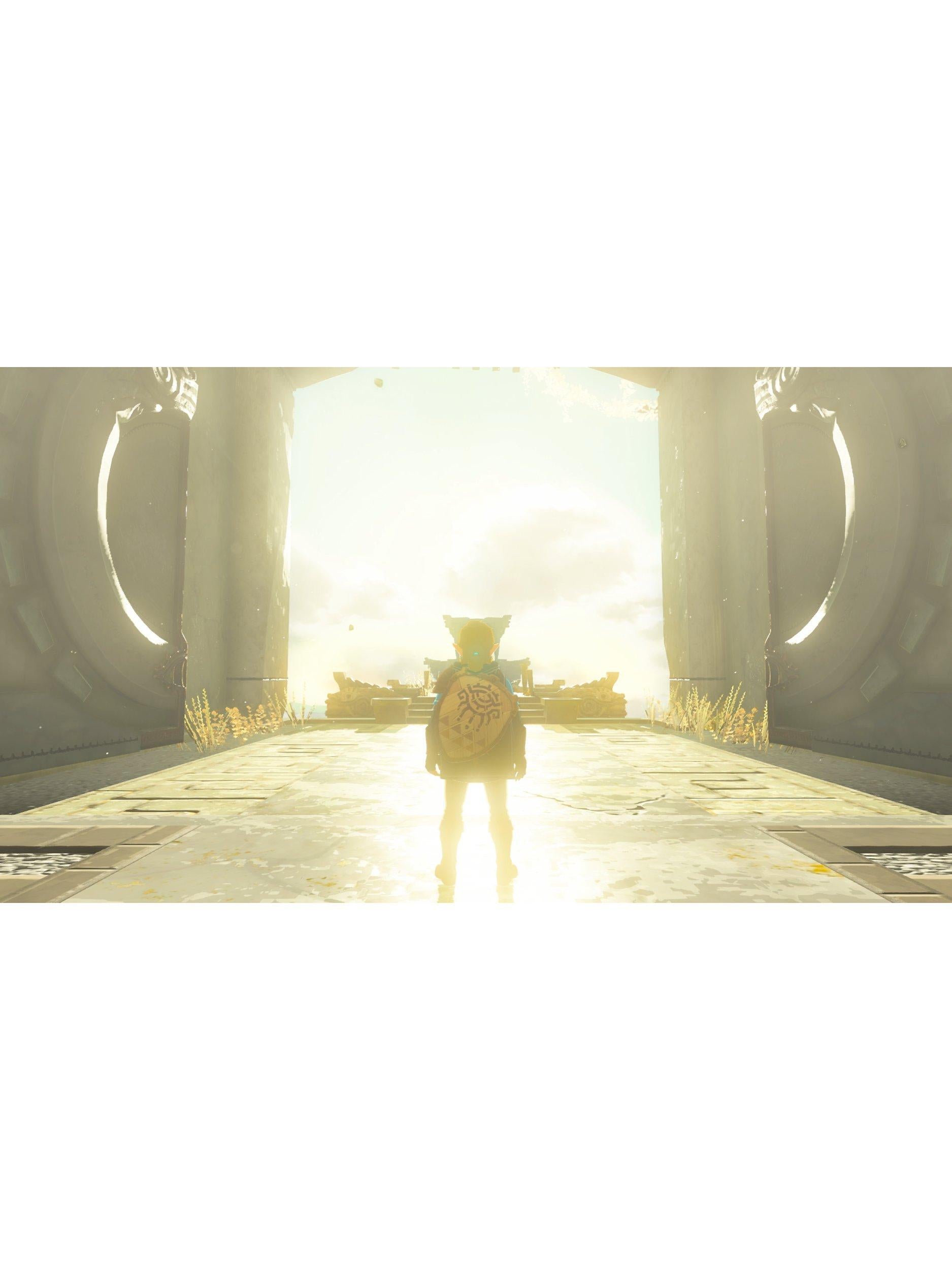 The Legend of Zelda: Tears of the Kingdom, Switch