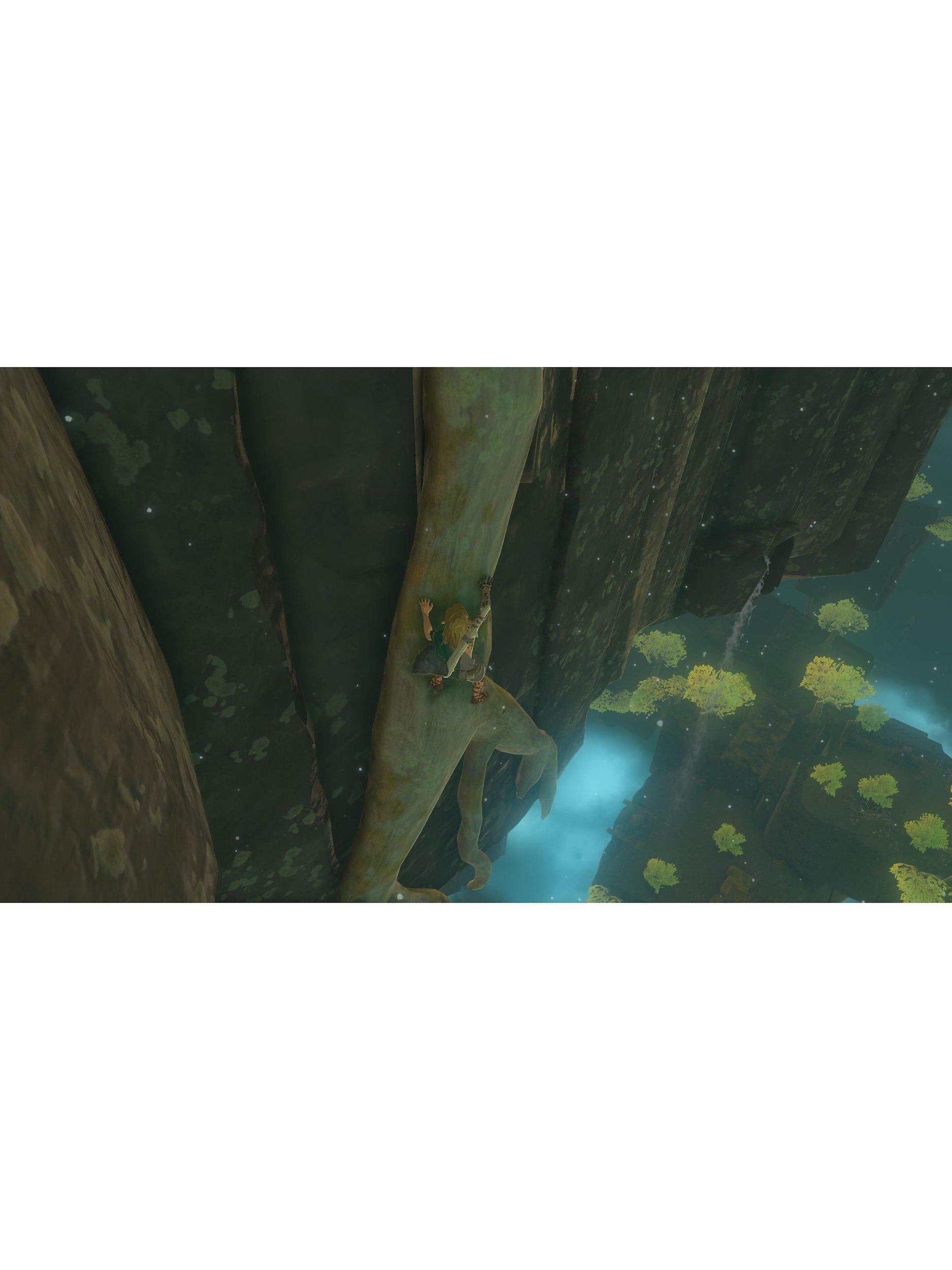 The Legend of Zelda: Tears of the Kingdom, Switch