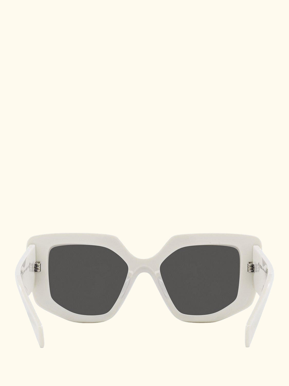 PR14ZS Women's Irregular Sunglasses, Talc