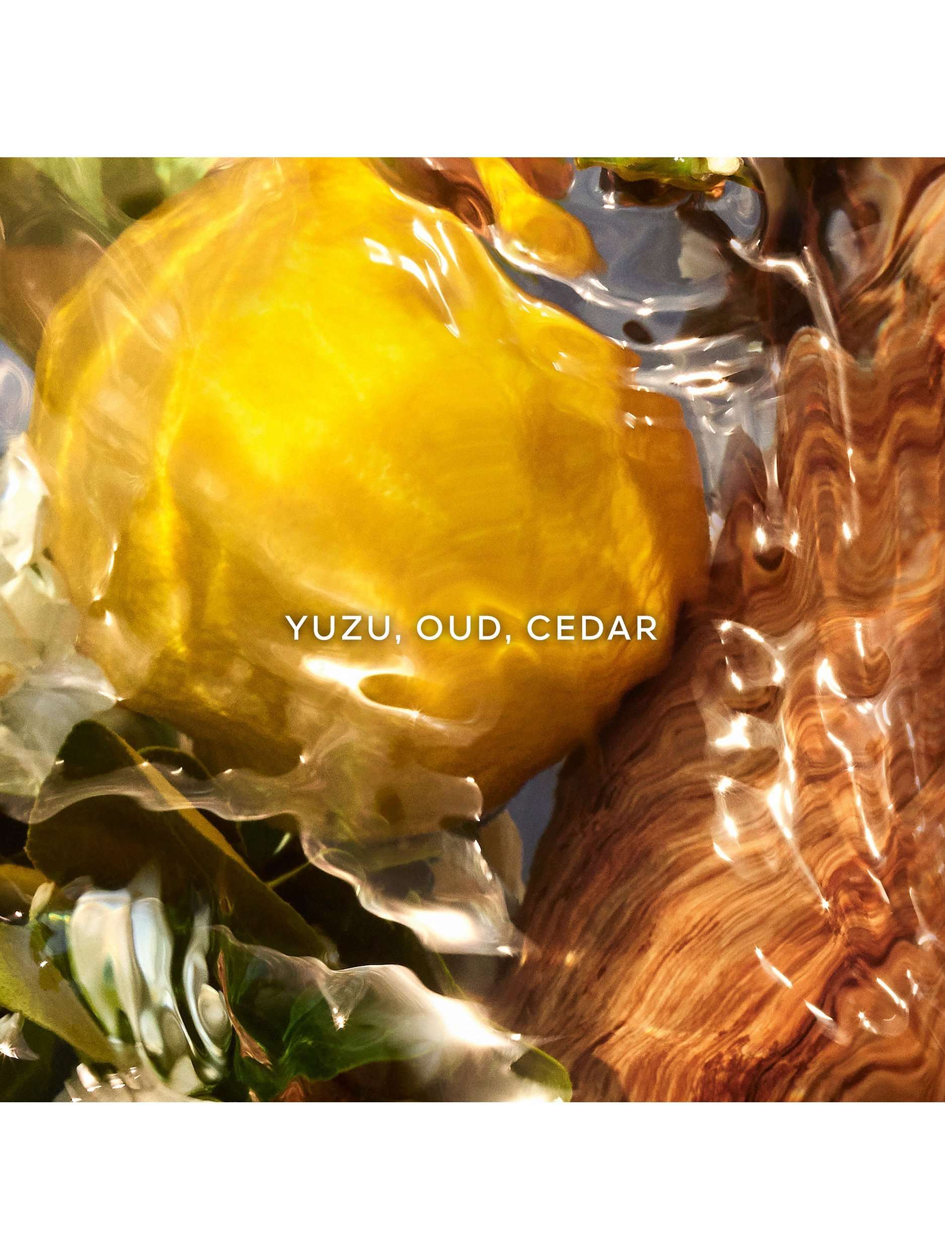 Aqua Allegoria Forte Oud Yuzu Eau de Parfum Refill, 200ml