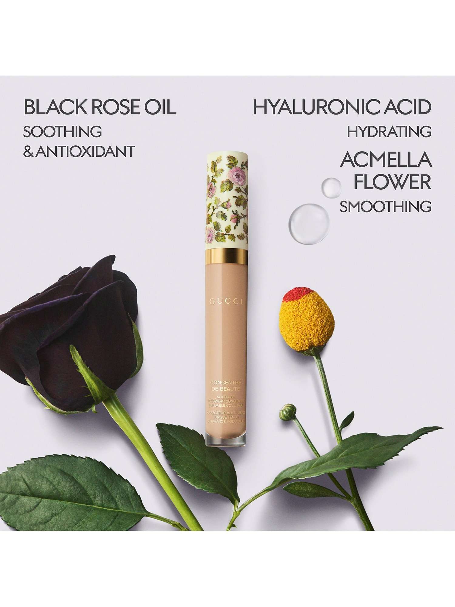 Concentré de Beauté Concealer
