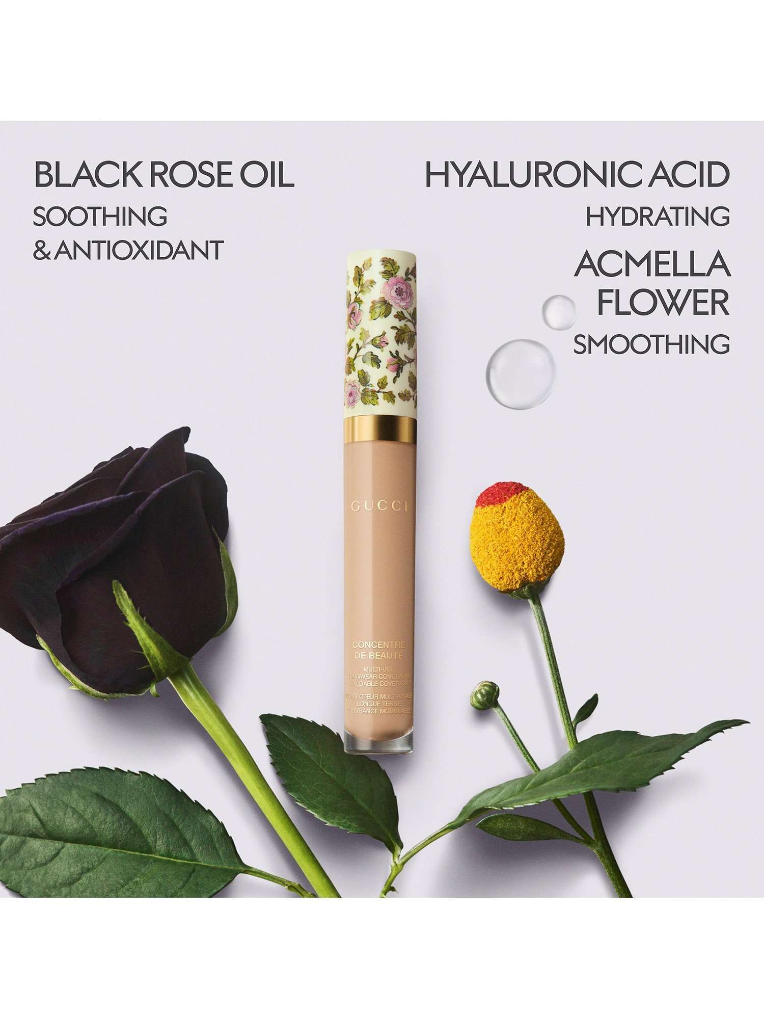 Concentré de Beauté Concealer