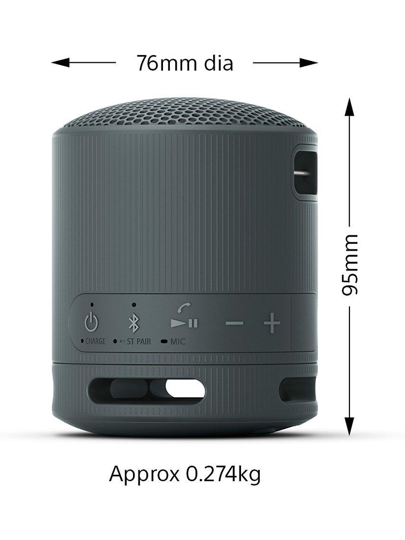 SRS-XB100 Extra Bass Waterproof Bluetooth Portable Speaker