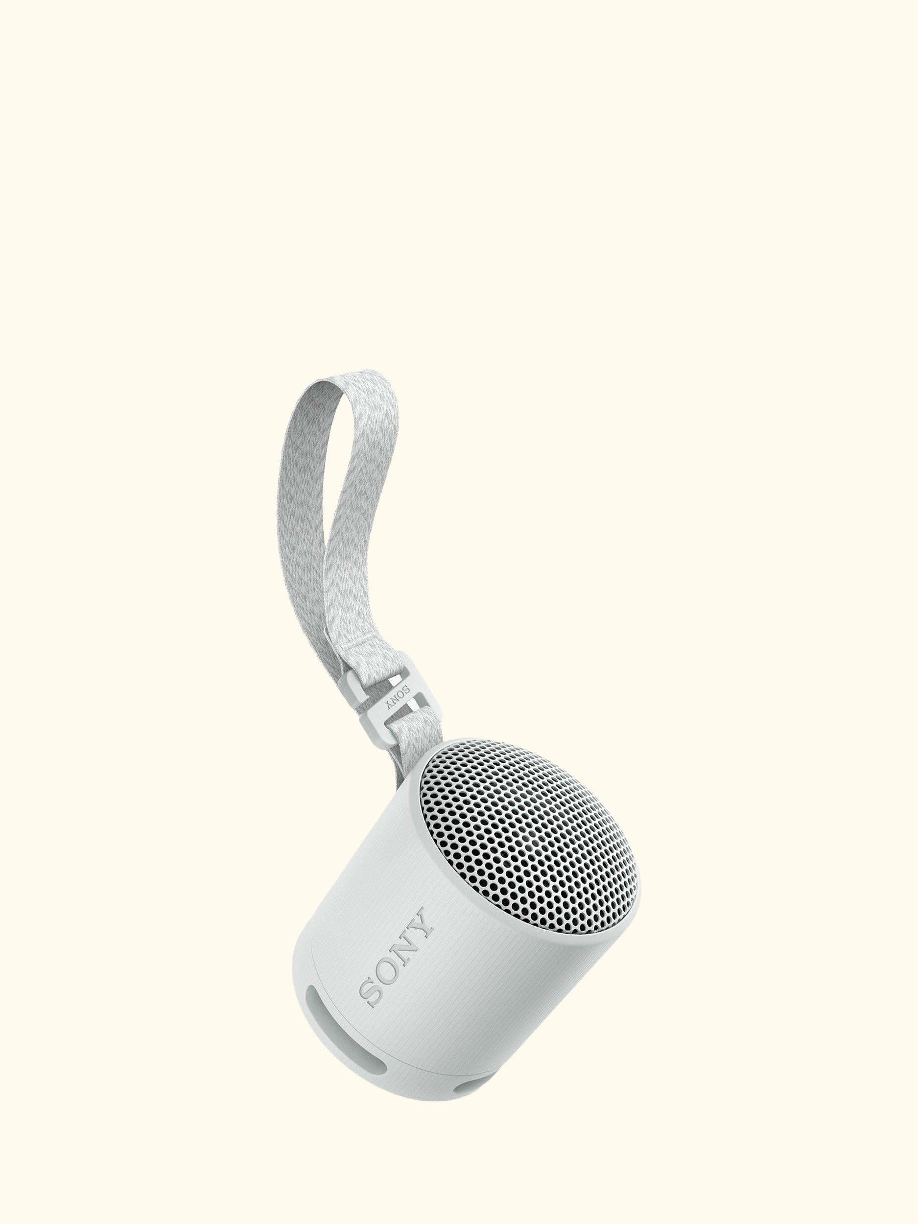 SRS-XB100 Extra Bass Waterproof Bluetooth Portable Speaker