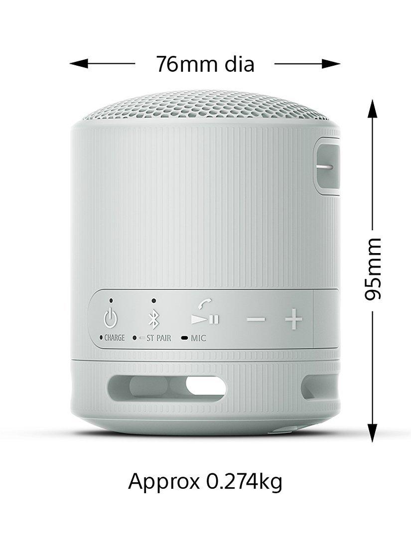 SRS-XB100 Extra Bass Waterproof Bluetooth Portable Speaker