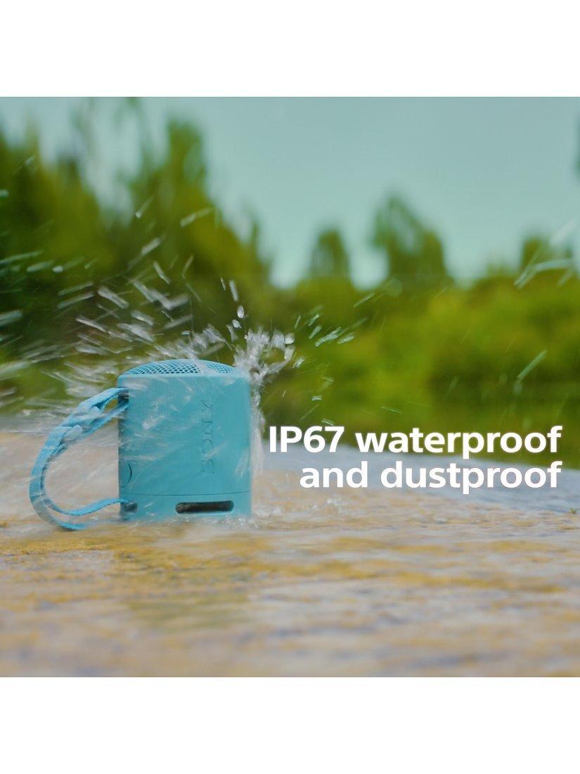 SRS-XB100 Extra Bass Waterproof Bluetooth Portable Speaker