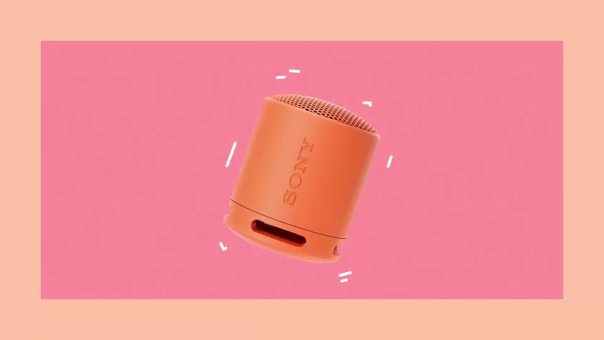 SRS-XB100 Extra Bass Waterproof Bluetooth Portable Speaker