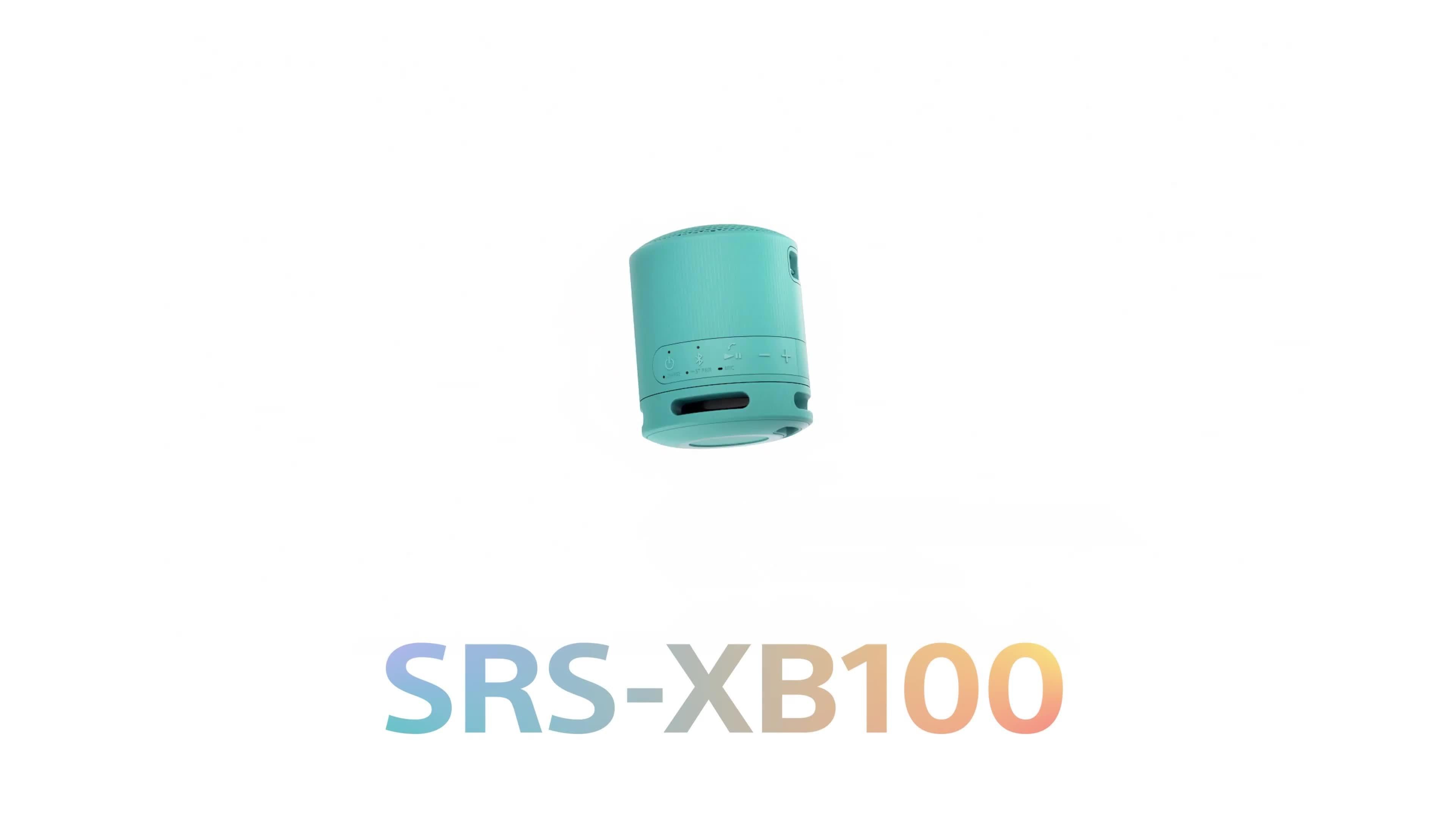 SRS-XB100 Extra Bass Waterproof Bluetooth Portable Speaker