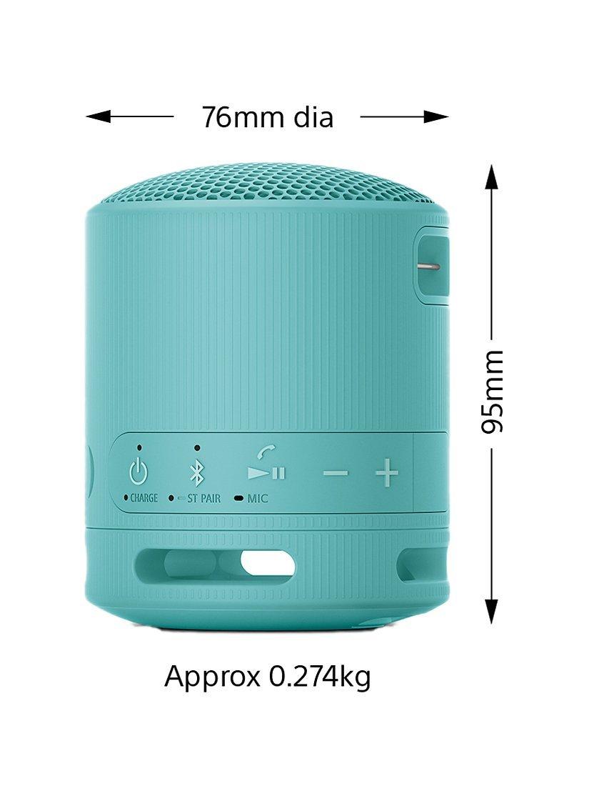 SRS-XB100 Extra Bass Waterproof Bluetooth Portable Speaker