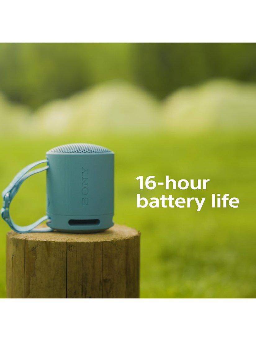 SRS-XB100 Extra Bass Waterproof Bluetooth Portable Speaker