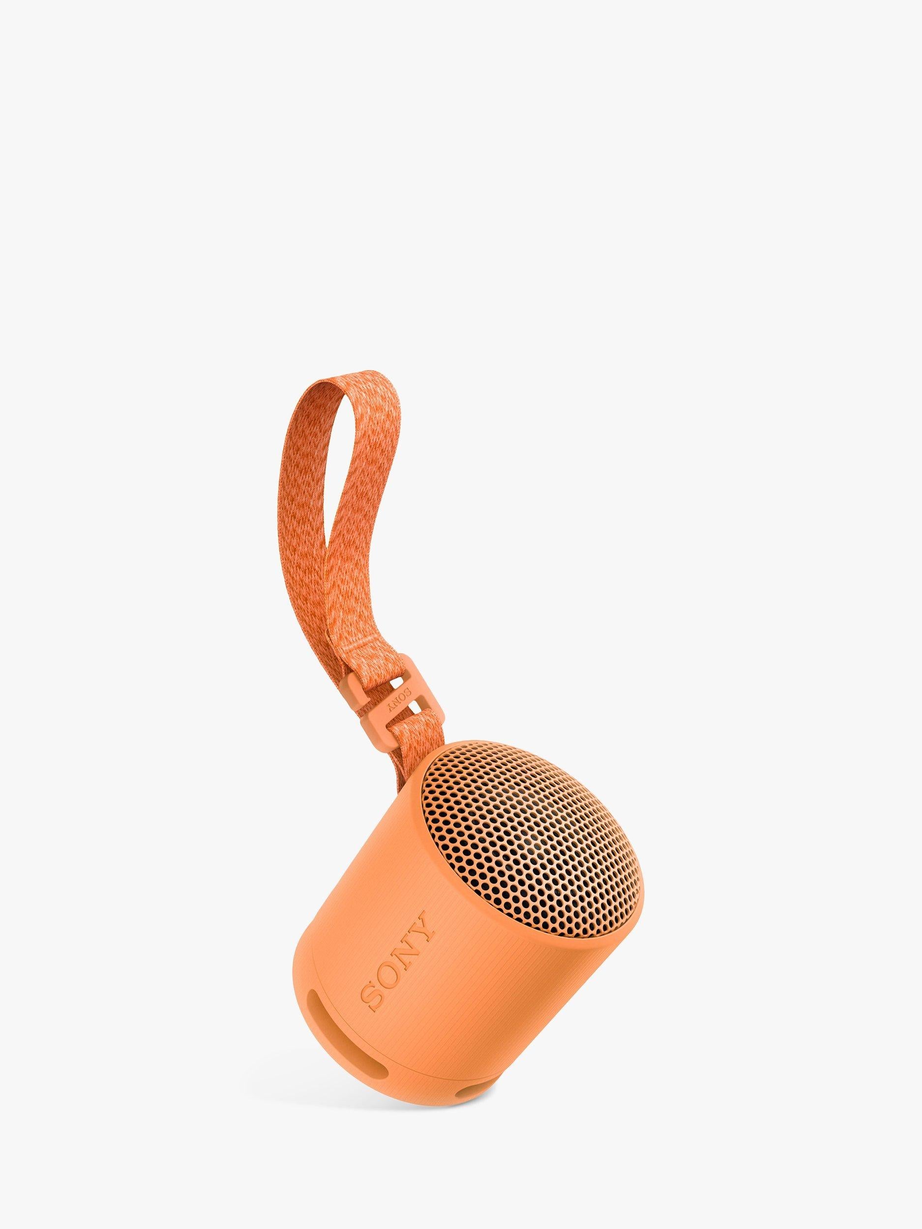 SRS-XB100 Extra Bass Waterproof Bluetooth Portable Speaker