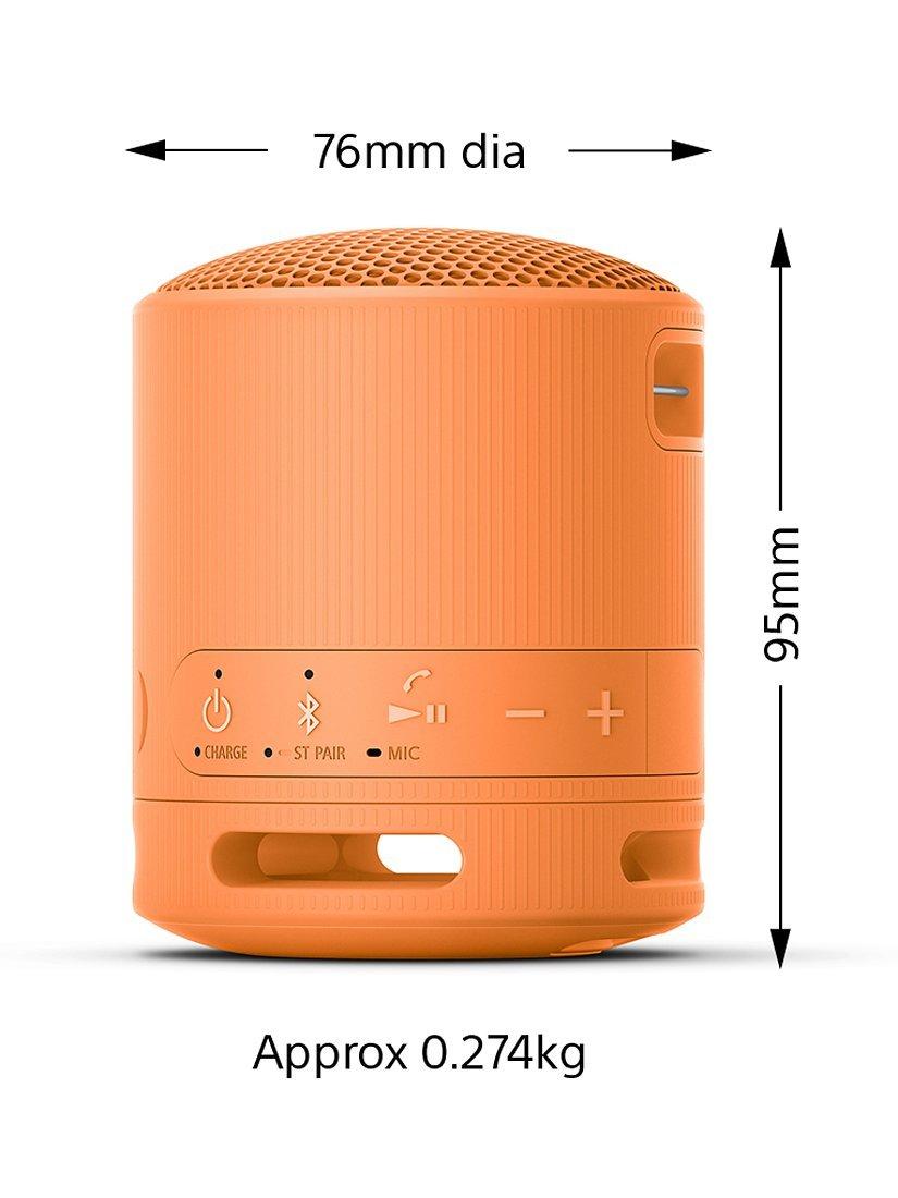 SRS-XB100 Extra Bass Waterproof Bluetooth Portable Speaker