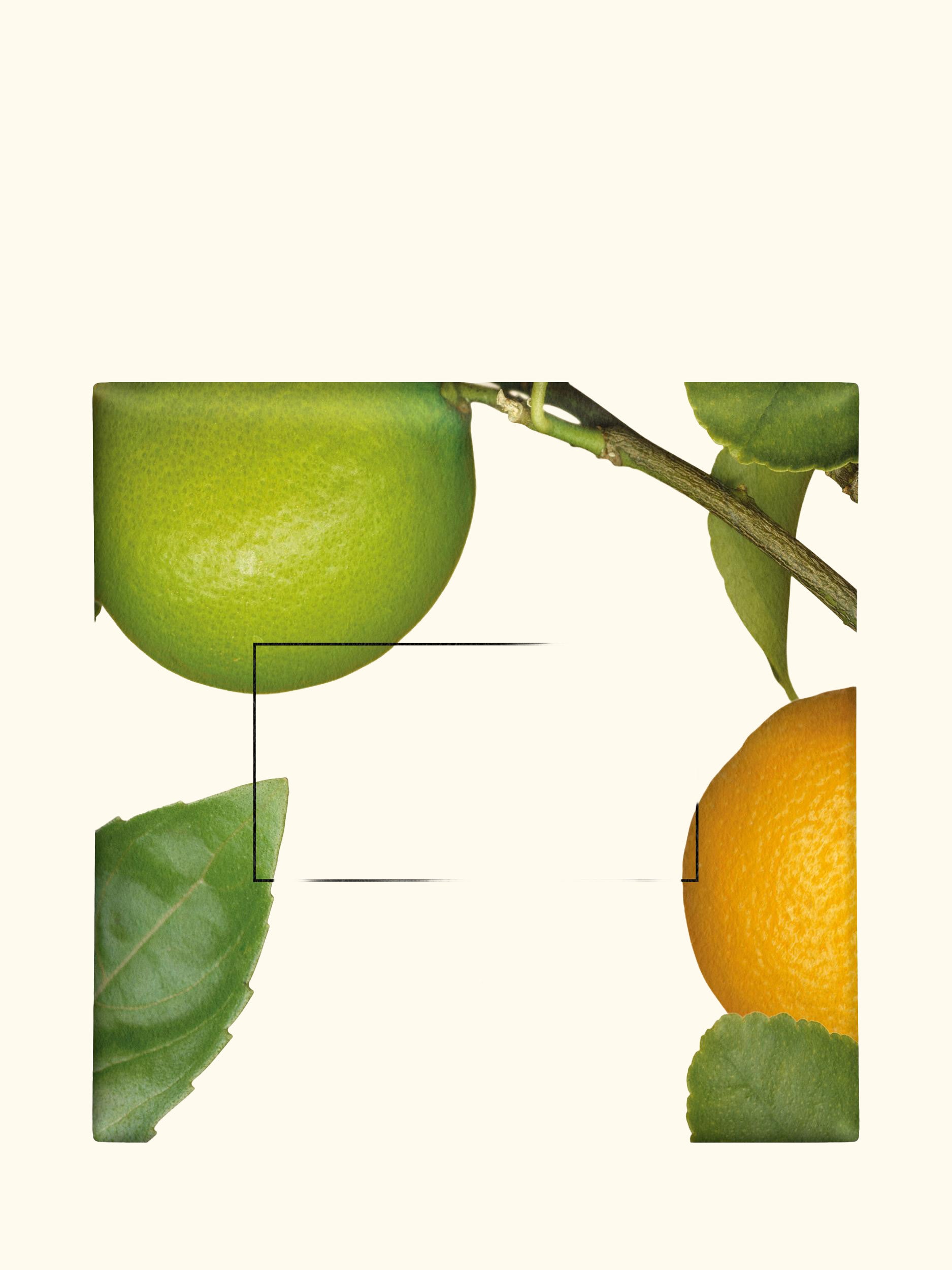 Lime Basil & Mandarin Soap, 100g