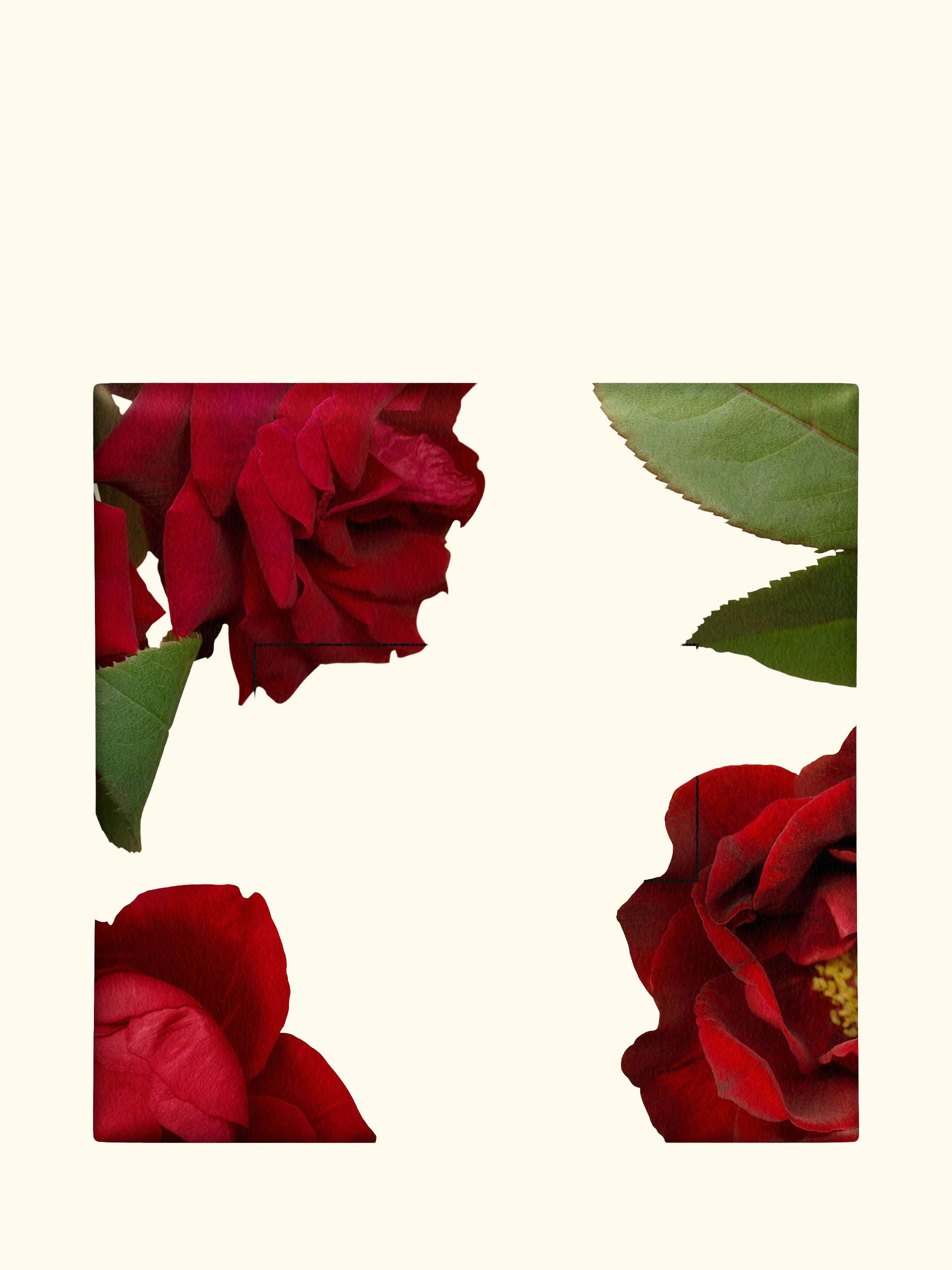 Red Roses Soap, 100g