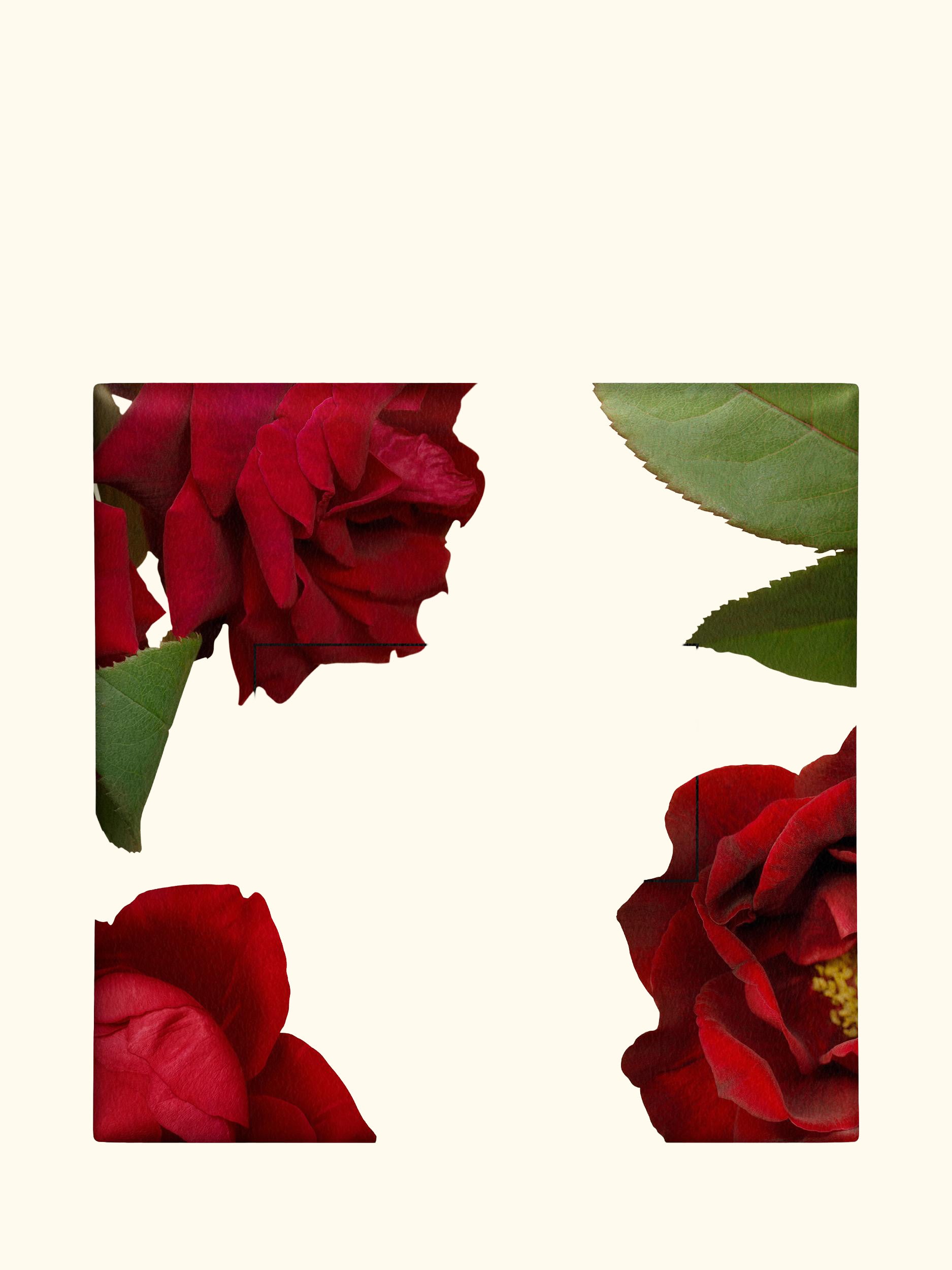 Red Roses Soap, 100g