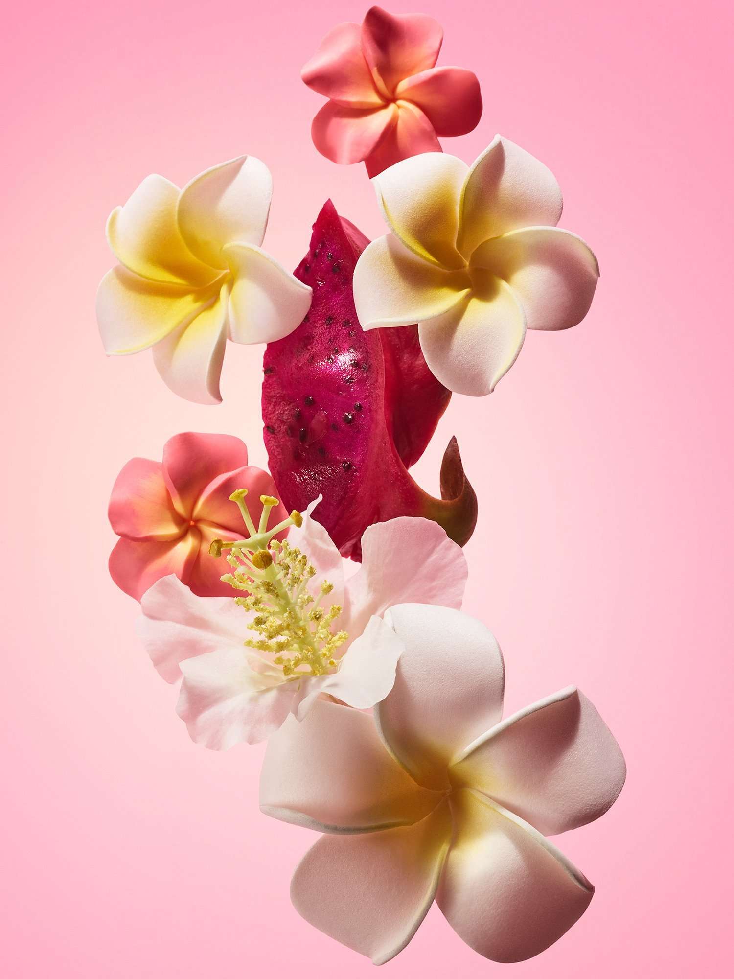 Beija Flor™ Elasti-Cream