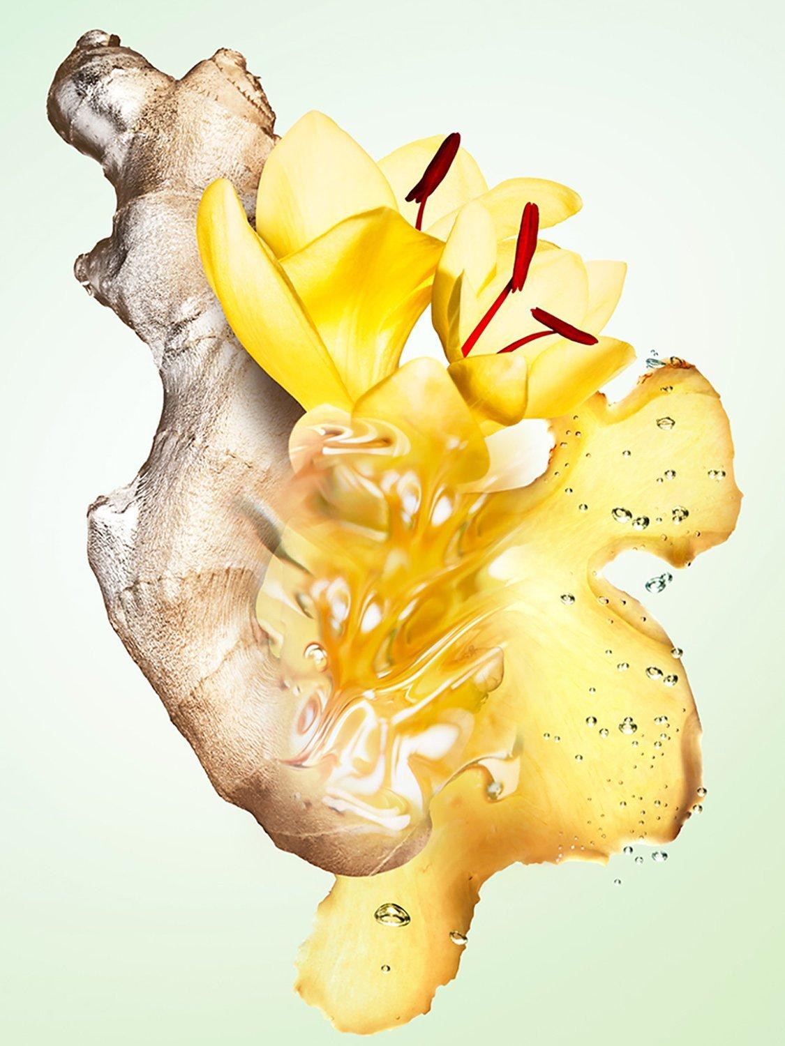 Les Infusions de Prada Gingembre Eau de Parfum