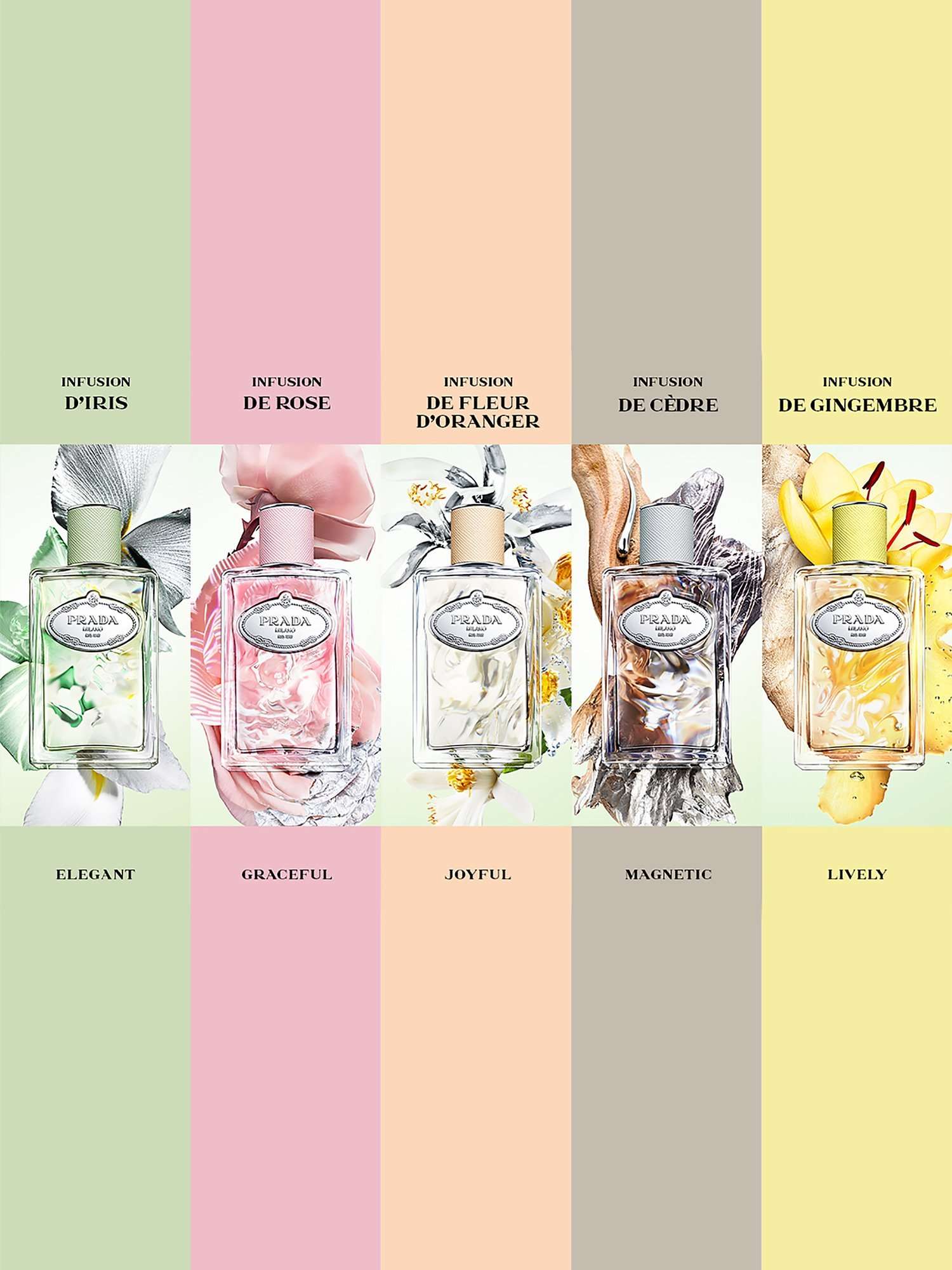 Les Infusions de Prada Gingembre Eau de Parfum