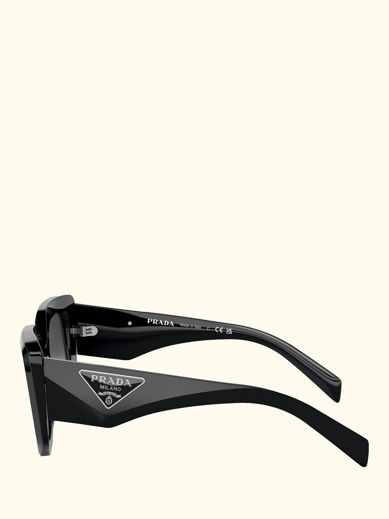 PR 14ZS Women's Irregular Sunglasses