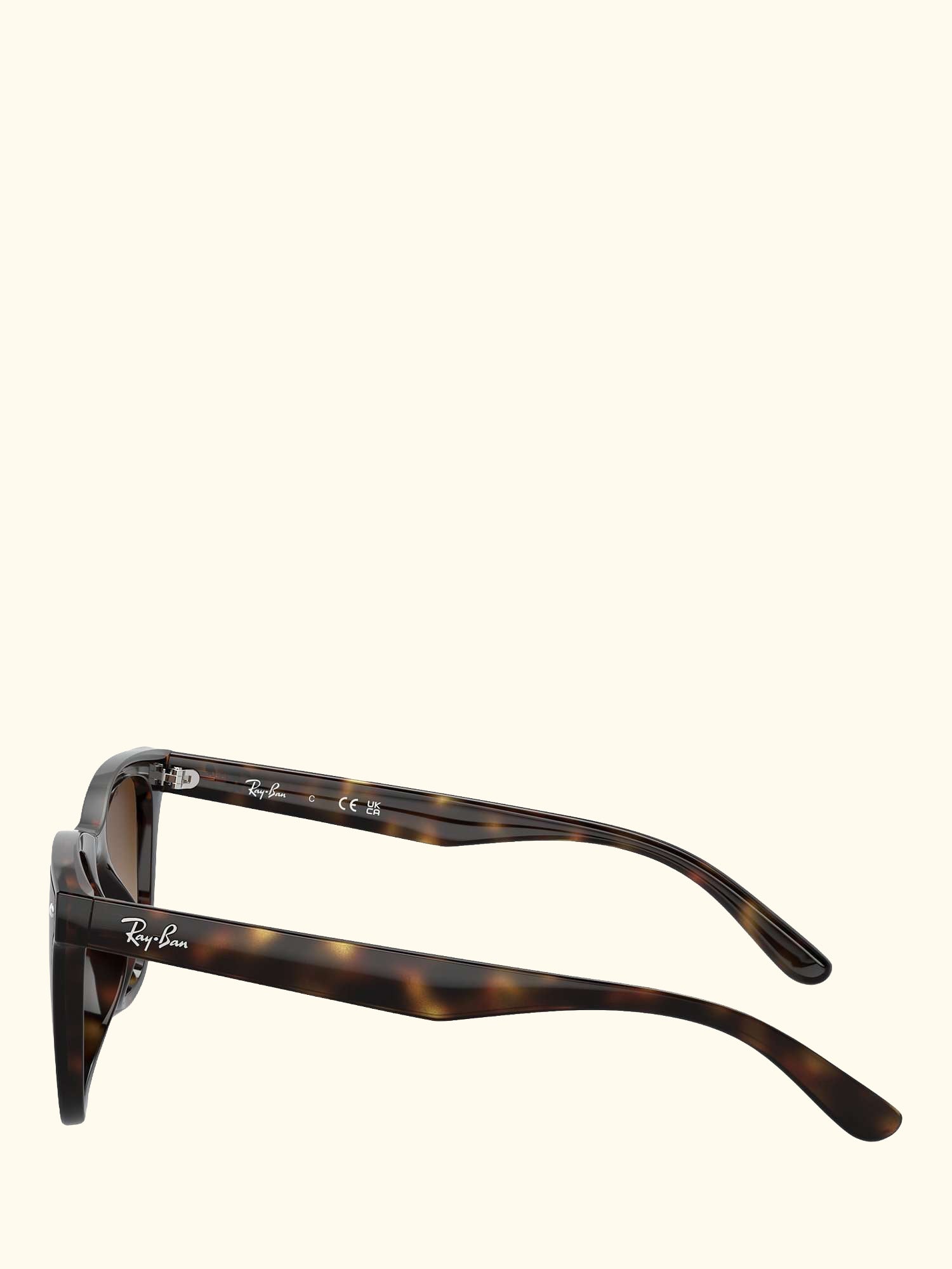 RB4420 Men's Rectangular Sunglasses, Havana