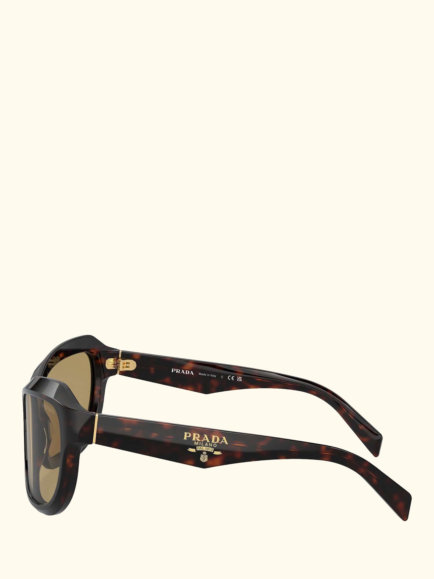 PRA27S Women's Rectangular Sunglasses, Tortoise/Brown