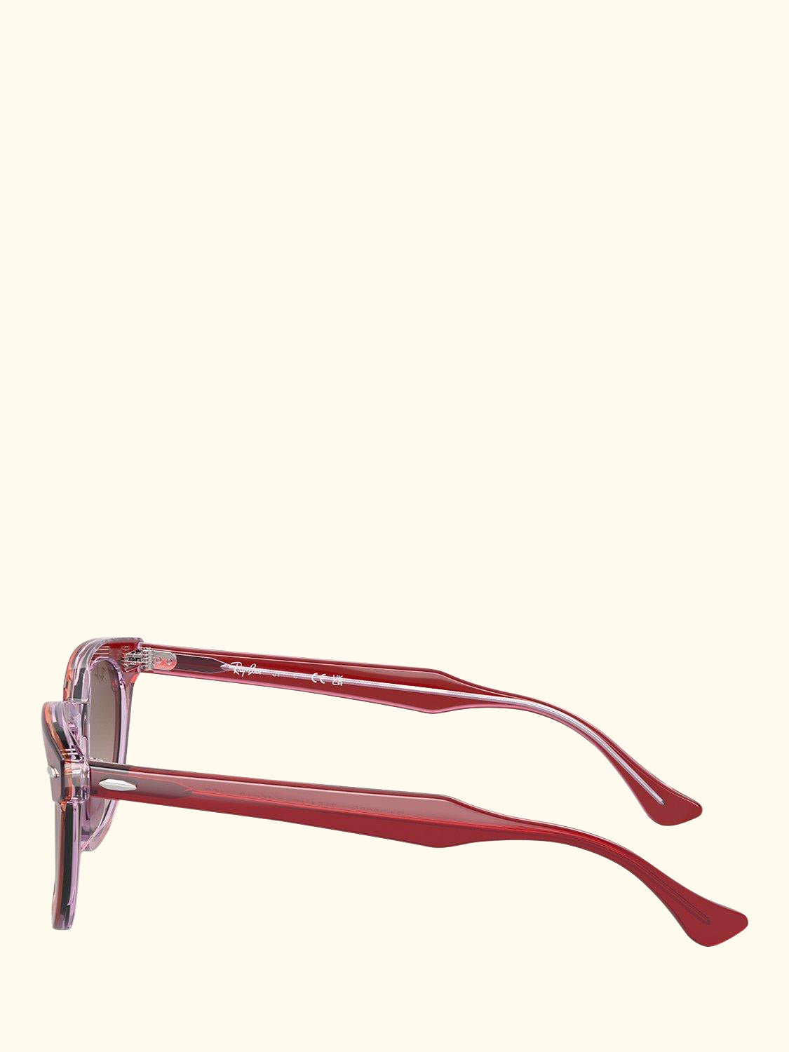 RJ9098S Unisex D-Frame Sunglasses