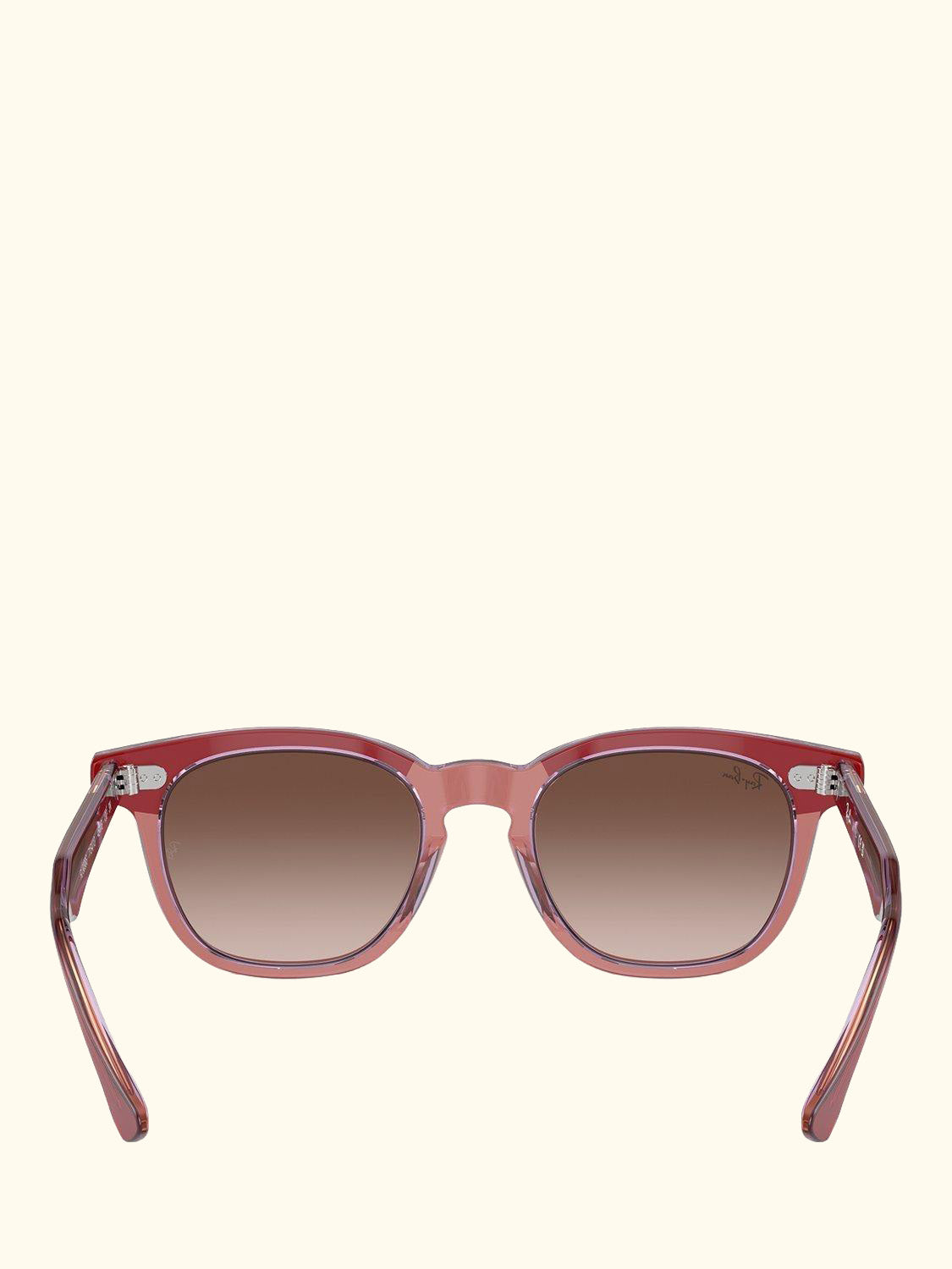 RJ9098S Unisex D-Frame Sunglasses