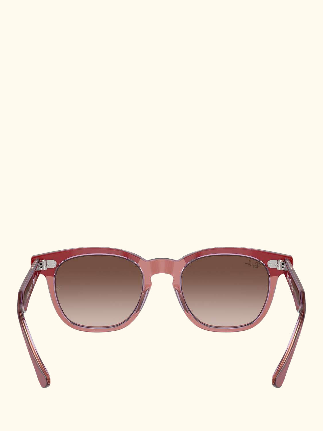 RJ9098S Unisex D-Frame Sunglasses