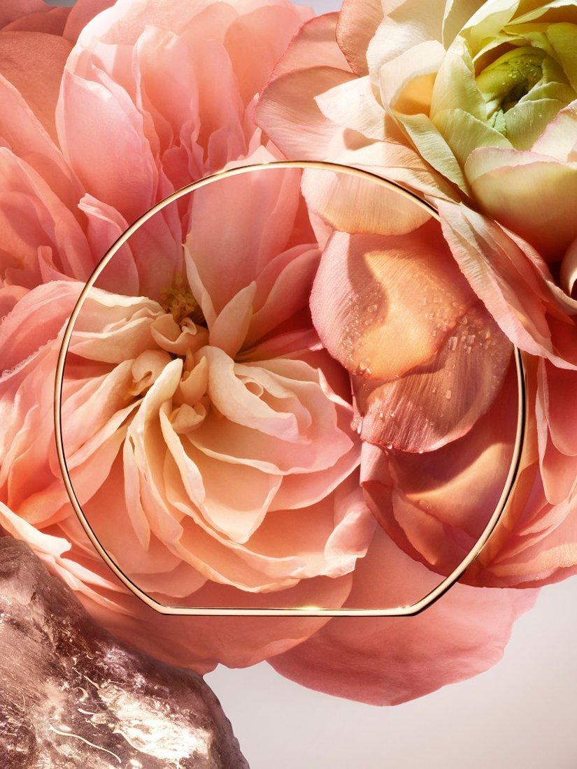 Absolue Les Parfums 1001 Roses Eau de Parfum, 100ml