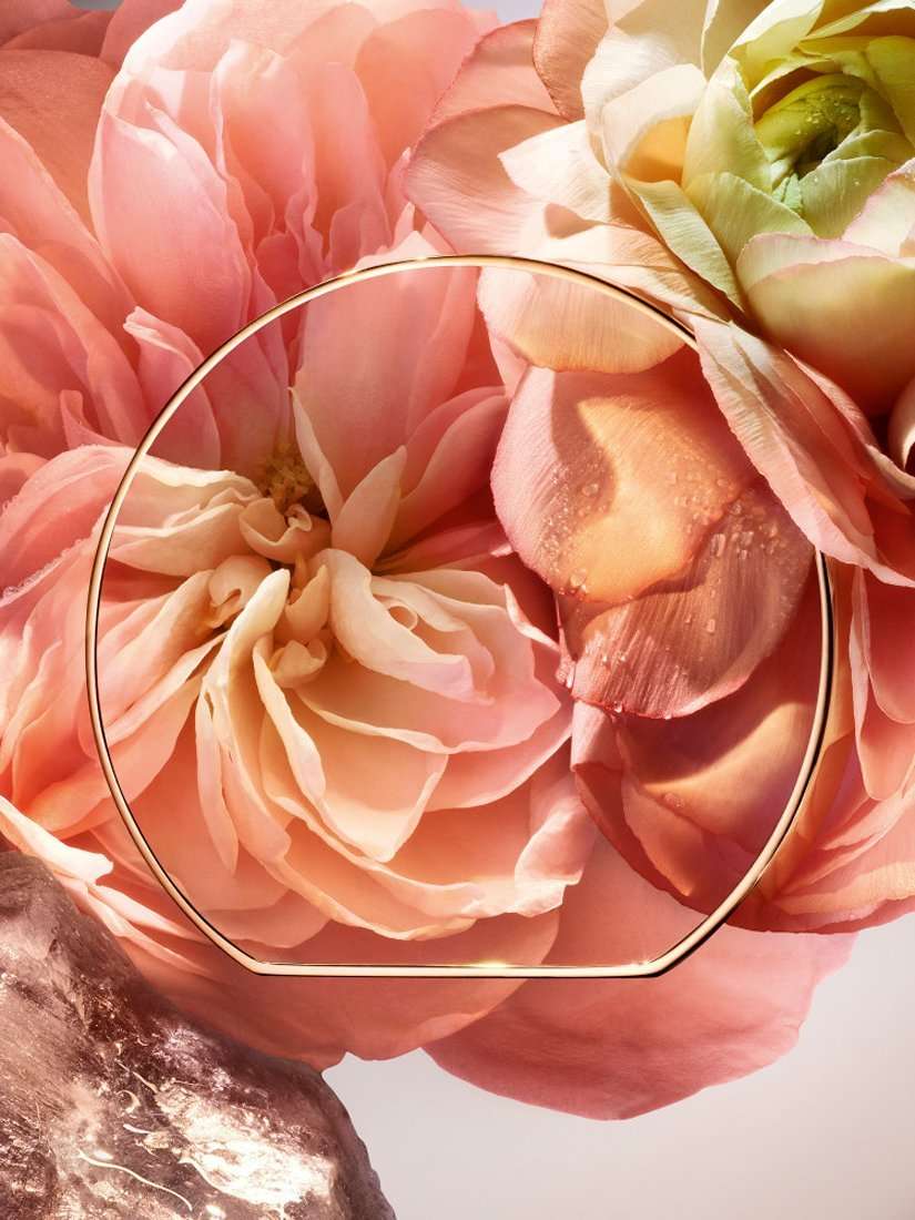 Absolue Les Parfums 1001 Roses Eau de Parfum, 100ml